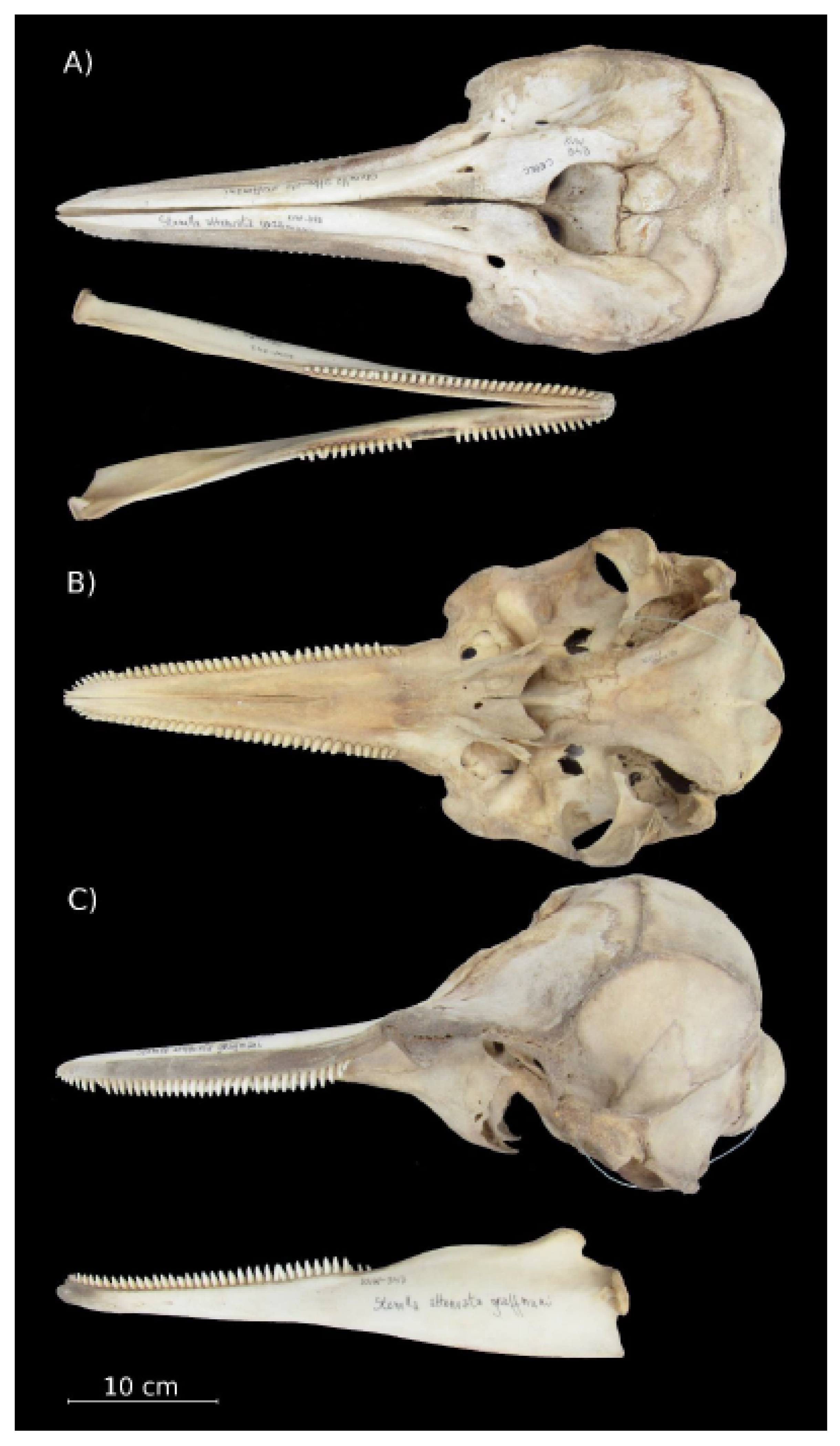 Preprints 197583 g008
