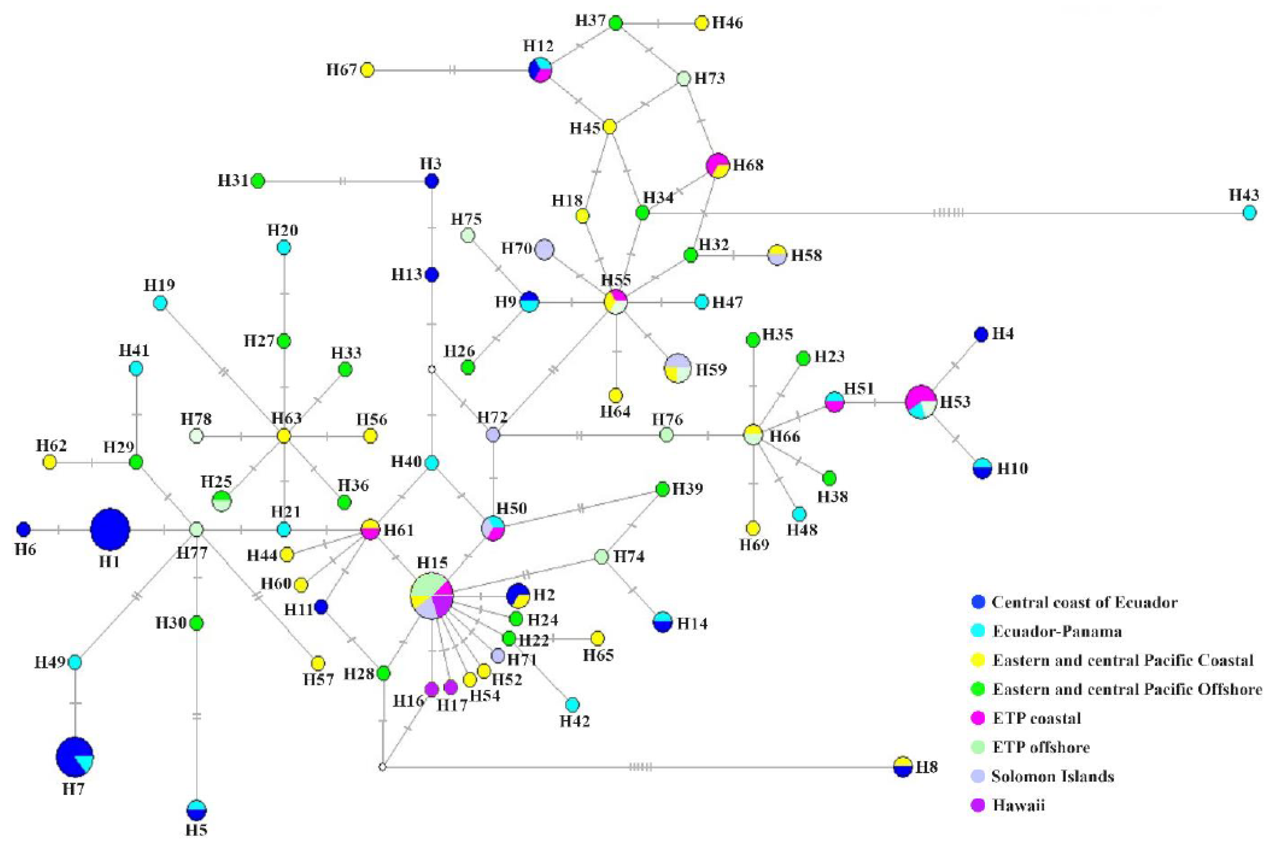 Preprints 197583 g012