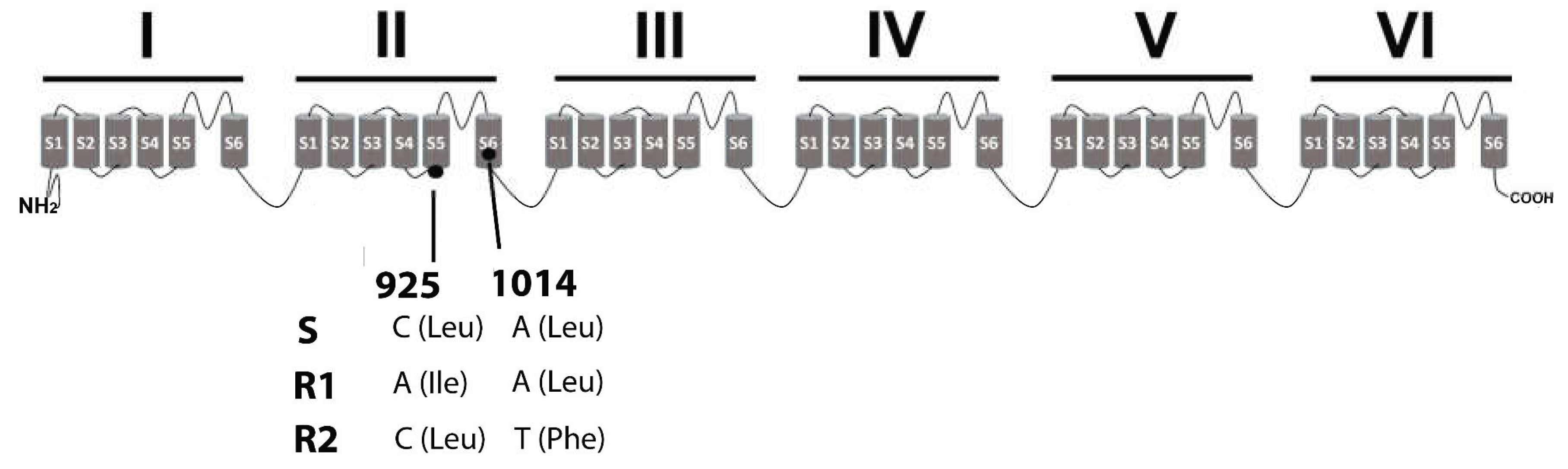 Preprints 229672 g001