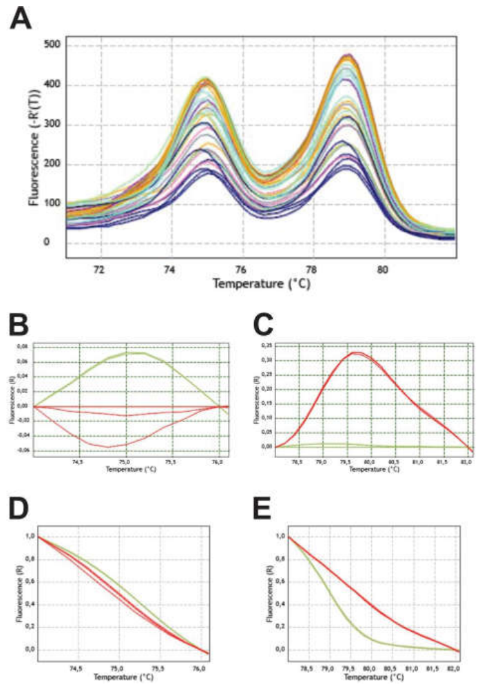 Preprints 229672 g003