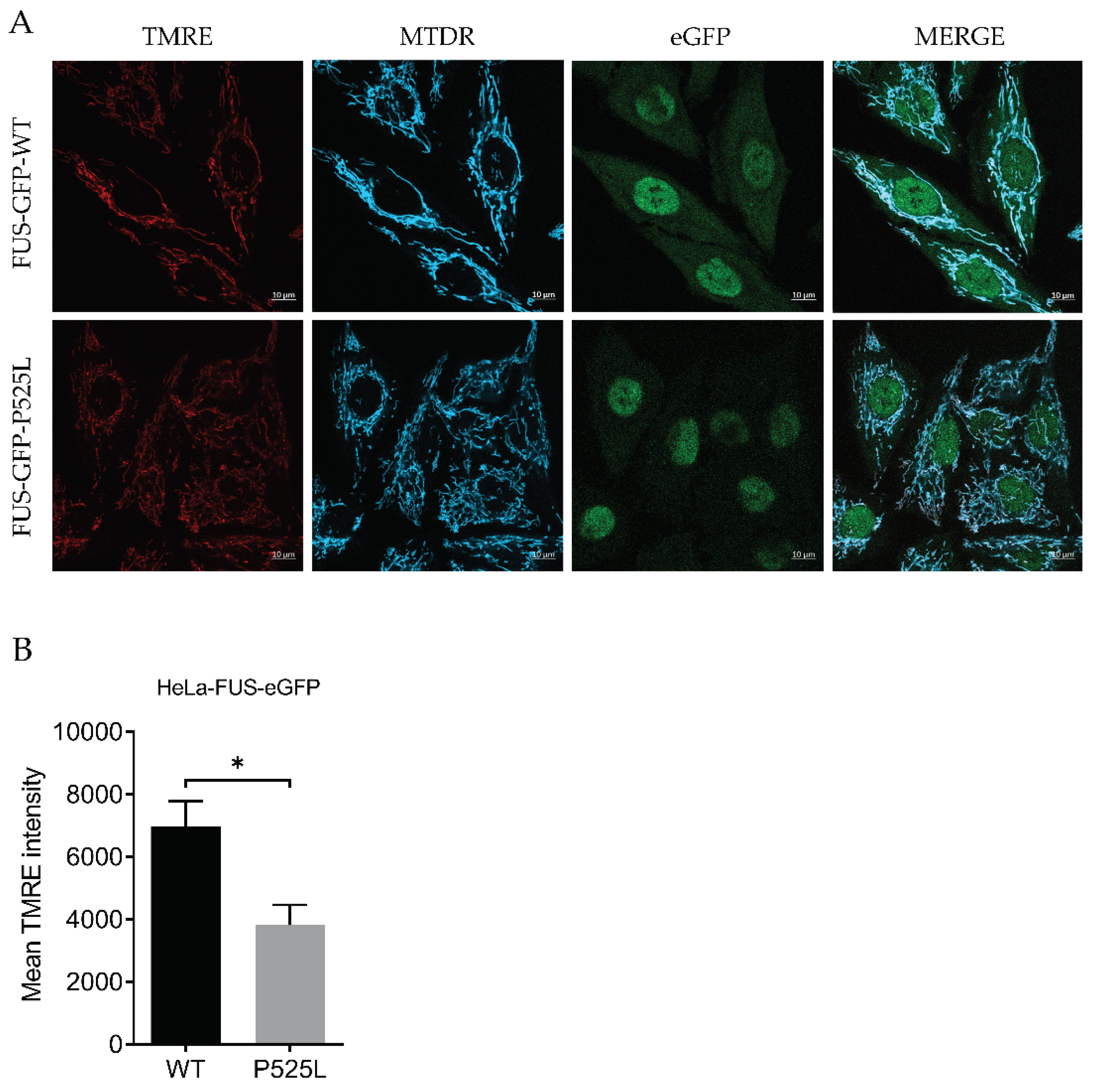 Preprints 99624 g001