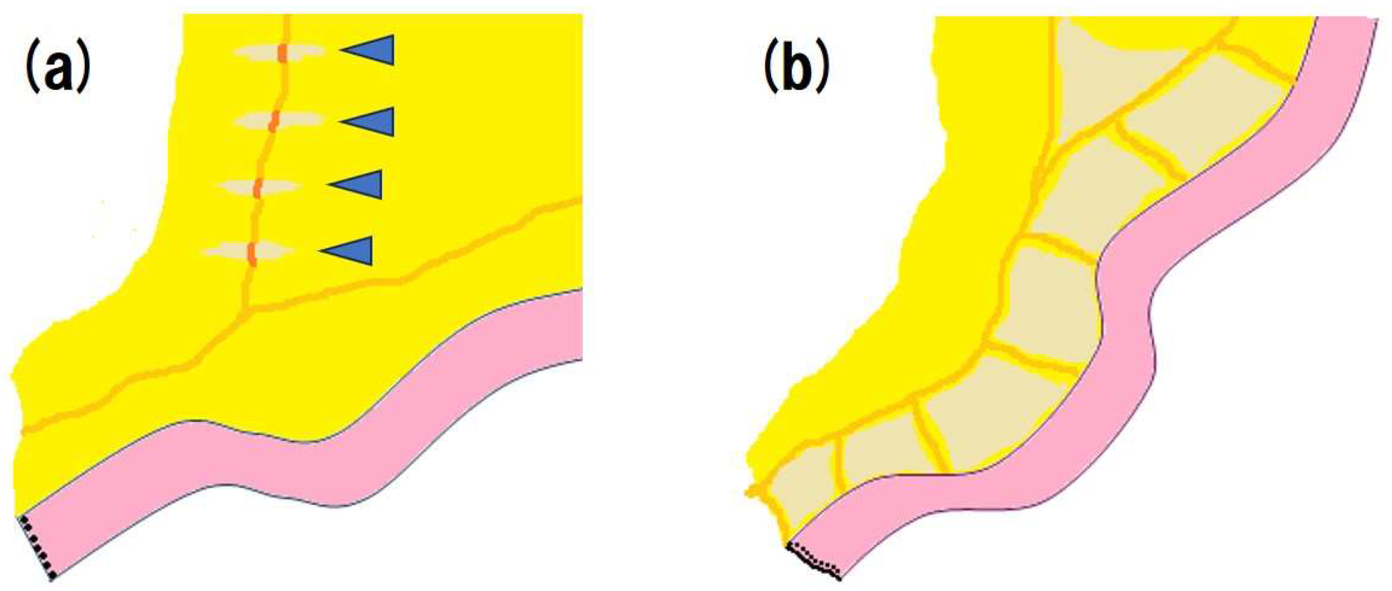 Preprints 145715 g001