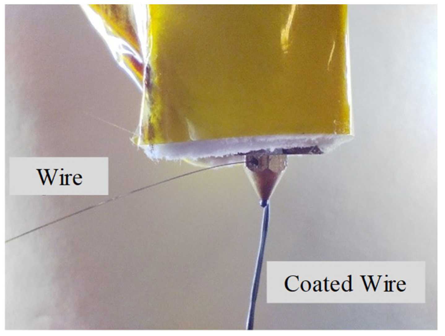 Preprints 89301 g001