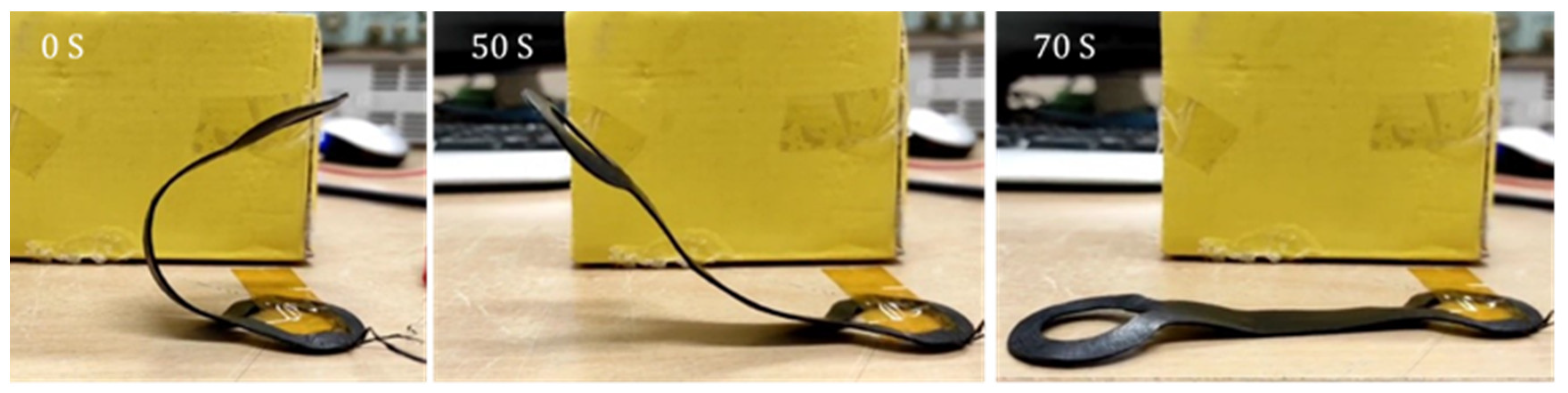 Preprints 89301 g019