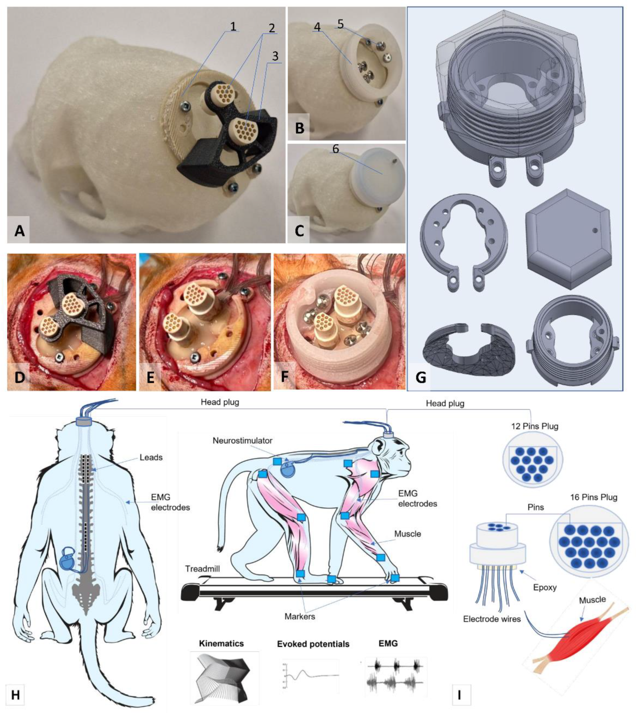 Preprints 186486 g001