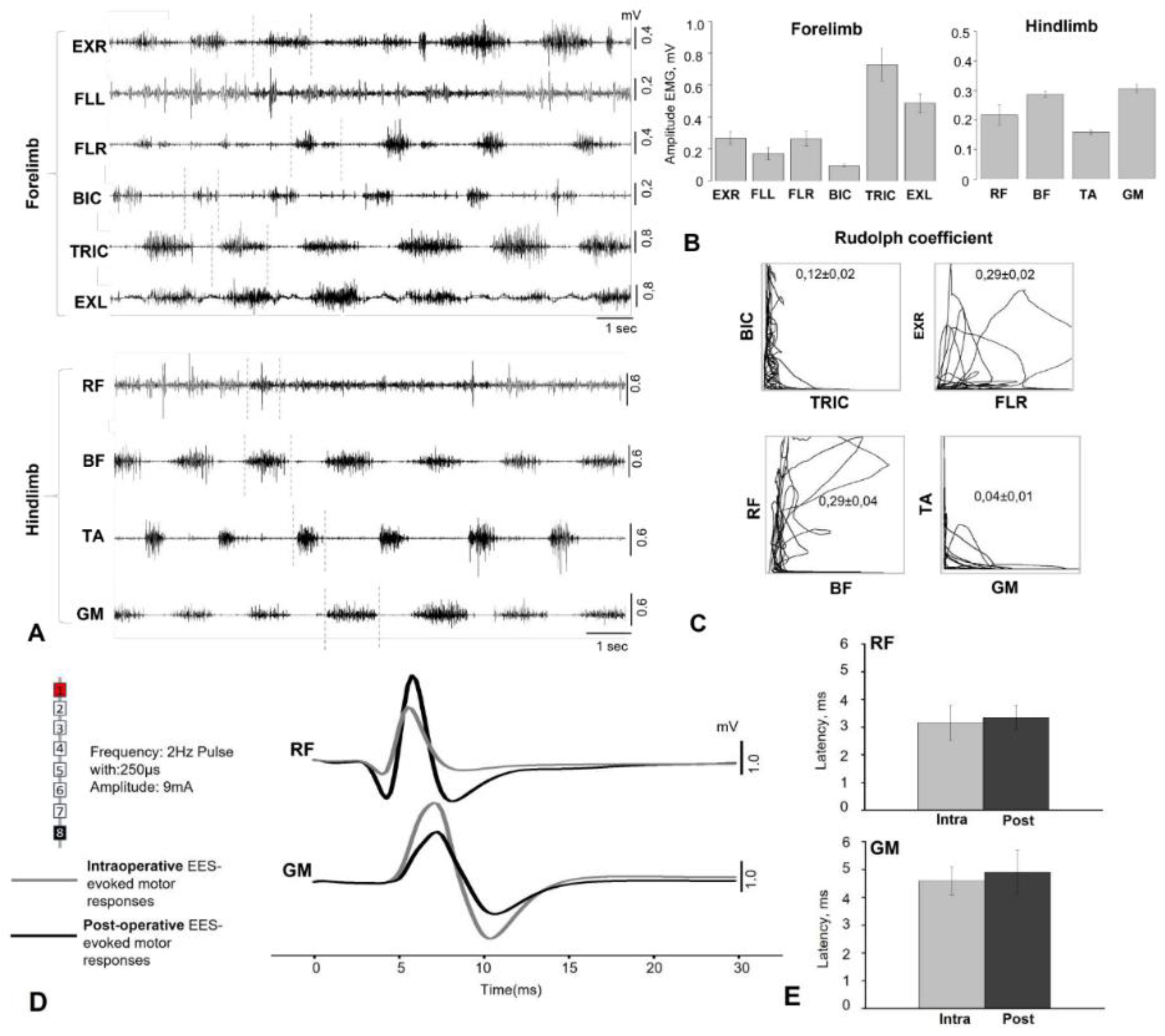 Preprints 186486 g003