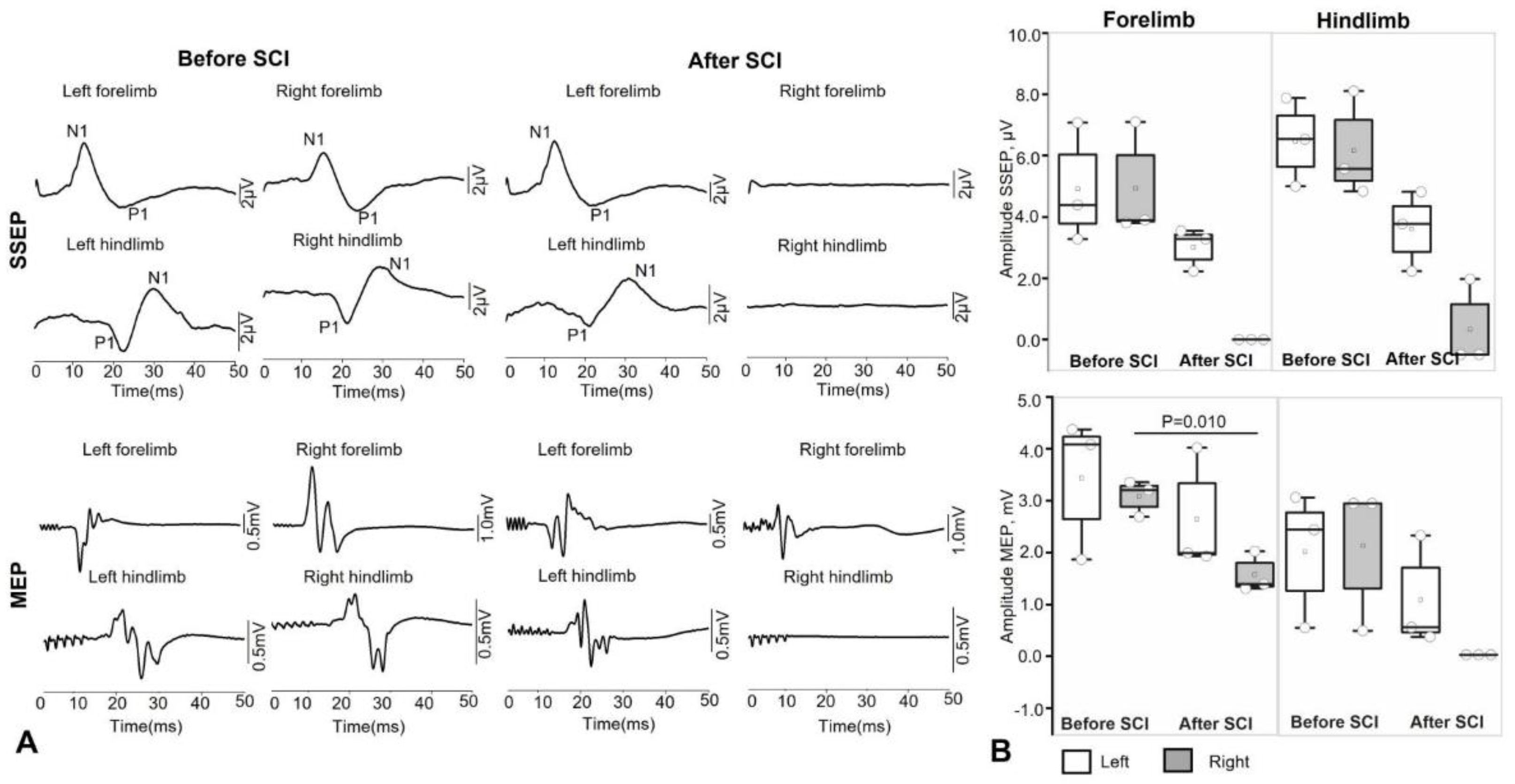 Preprints 186486 g004