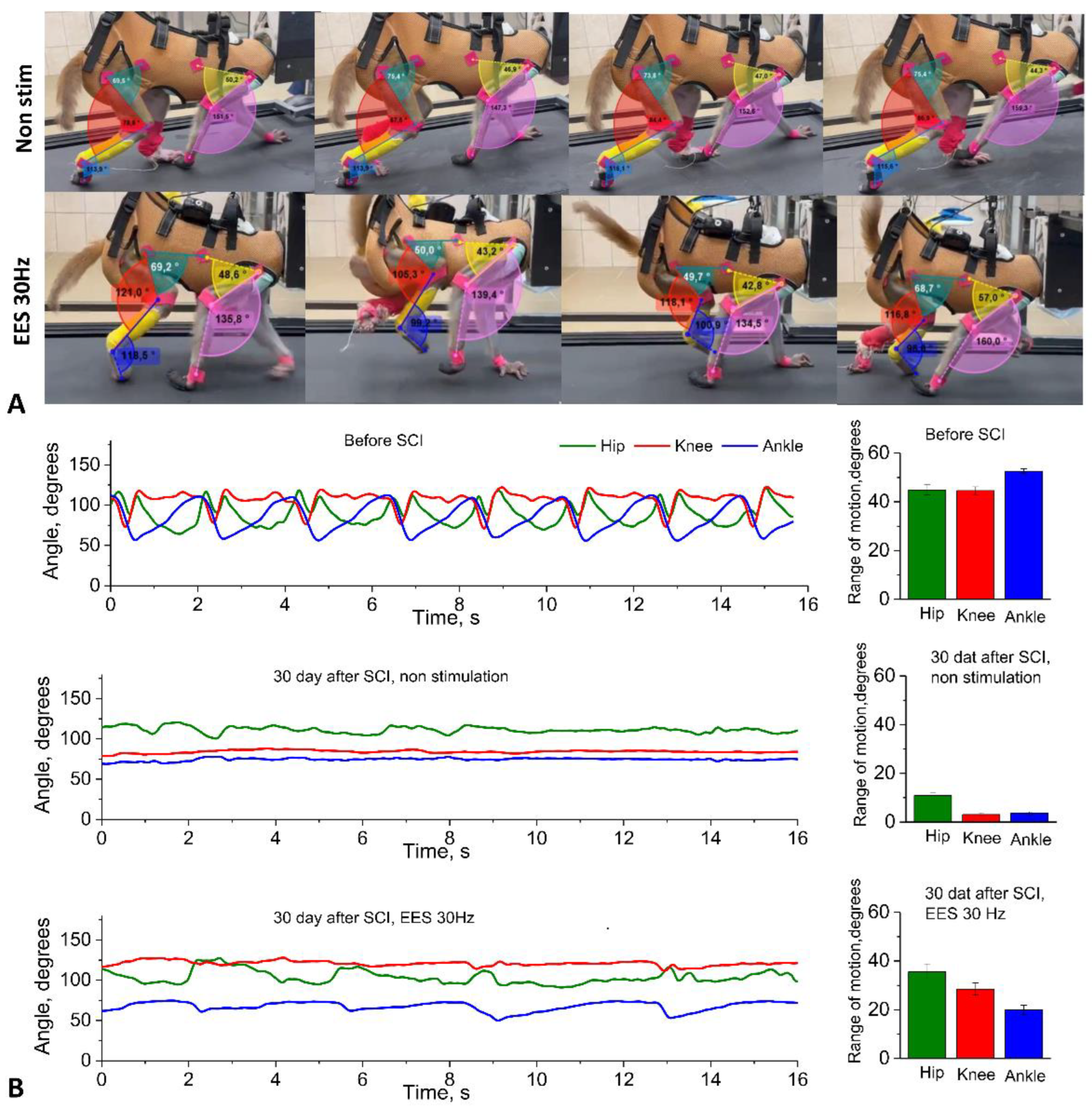 Preprints 186486 g005