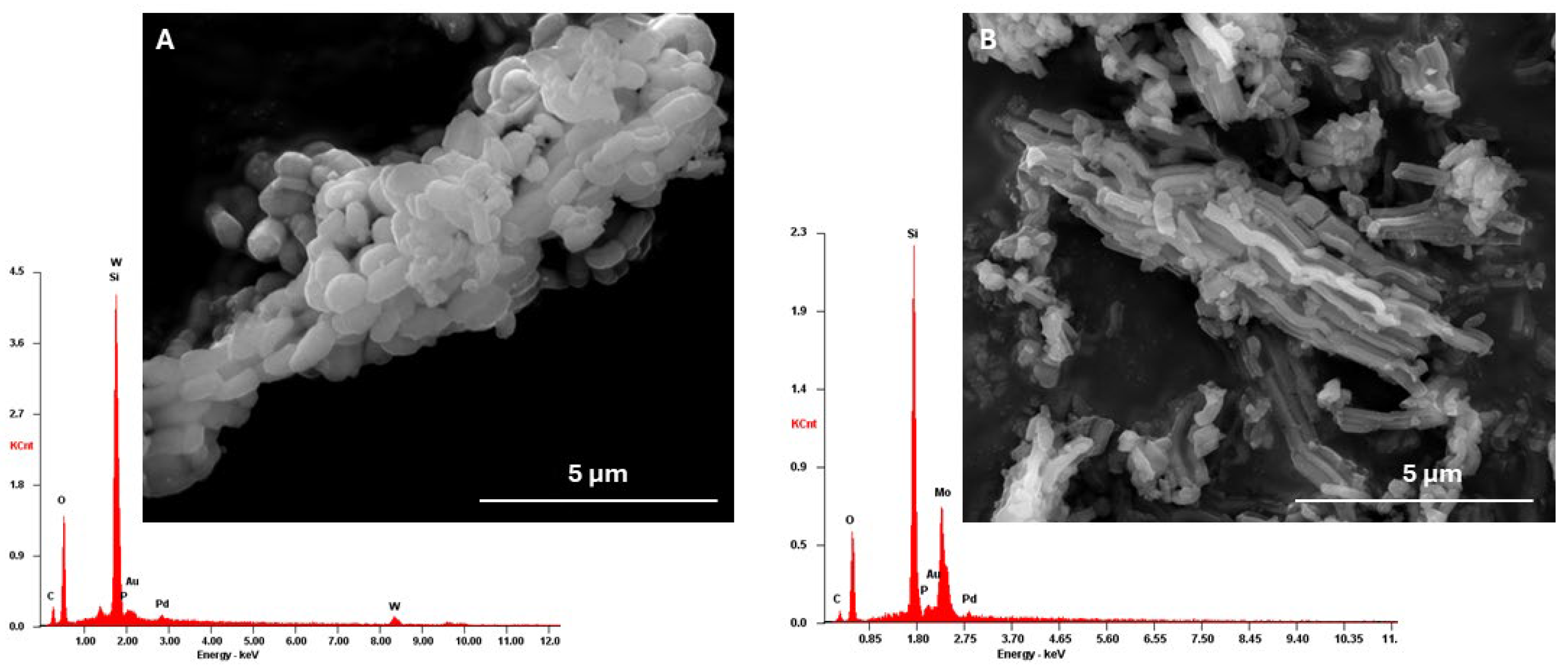 Preprints 102260 g002