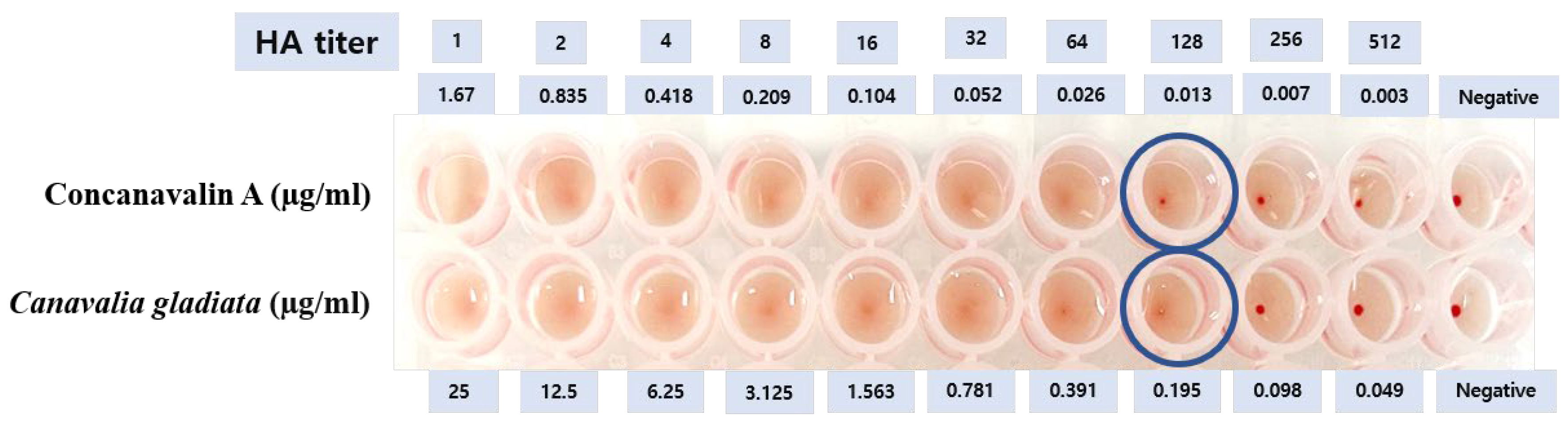Preprints 185026 g001