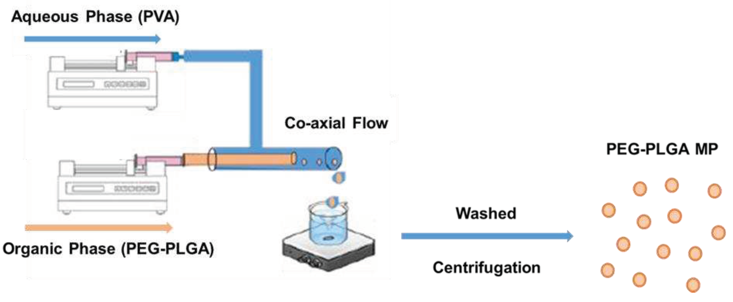 Preprints 80565 sch002