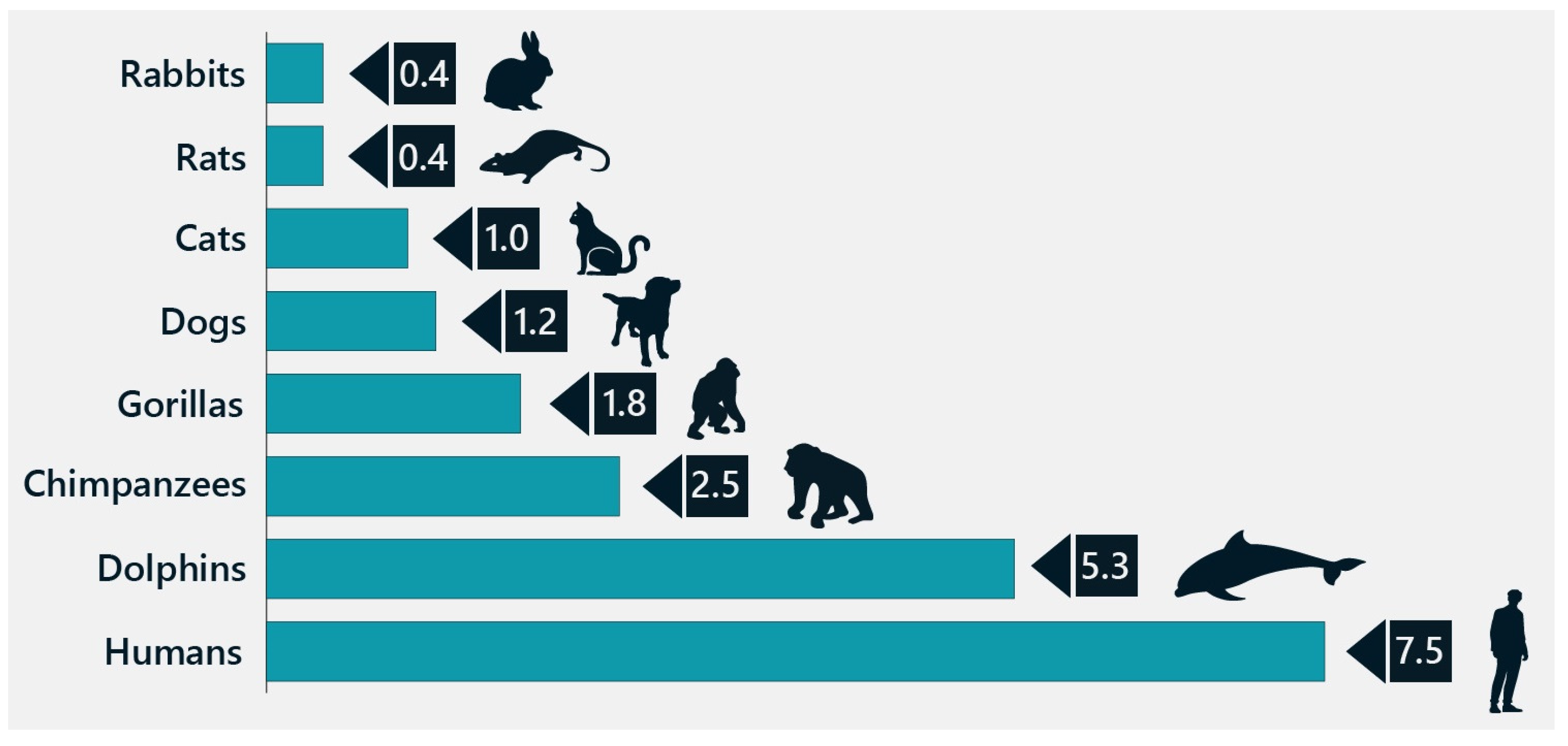 Preprints 152546 g002