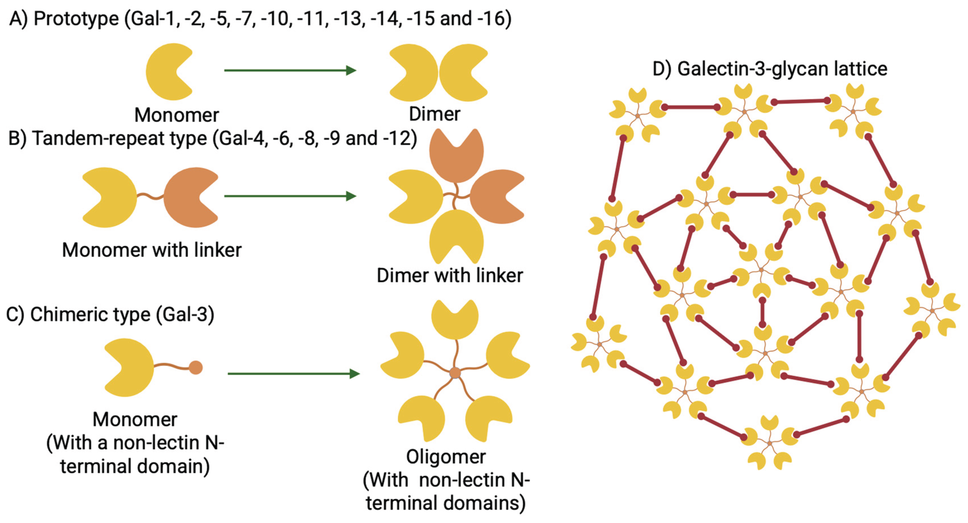 Preprints 160343 g001