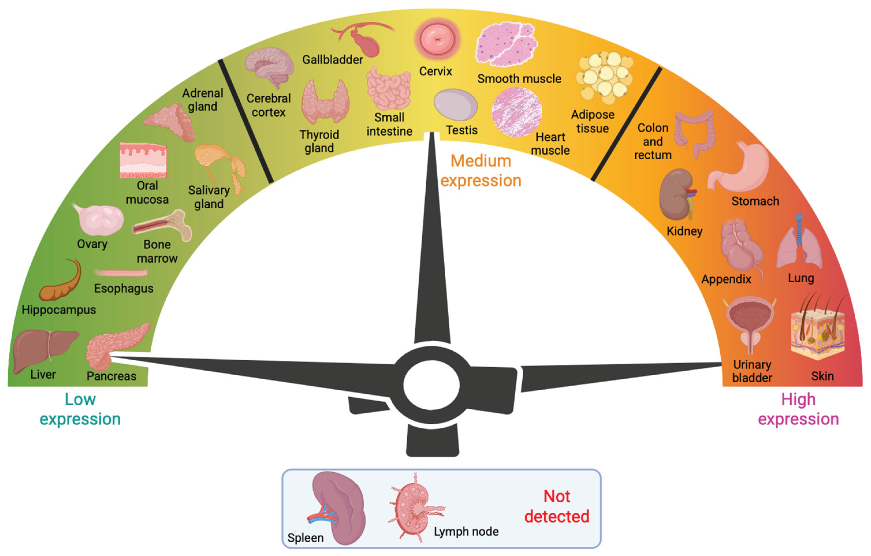 Preprints 160343 g003