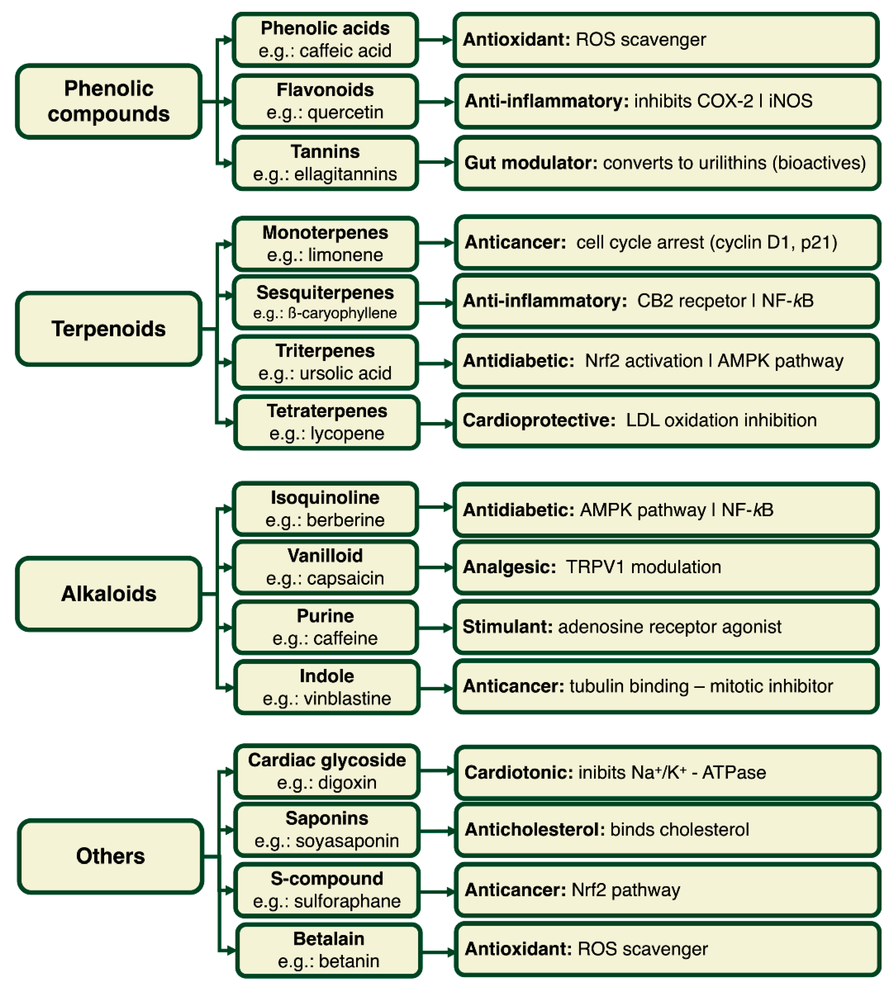 Preprints 155142 g001