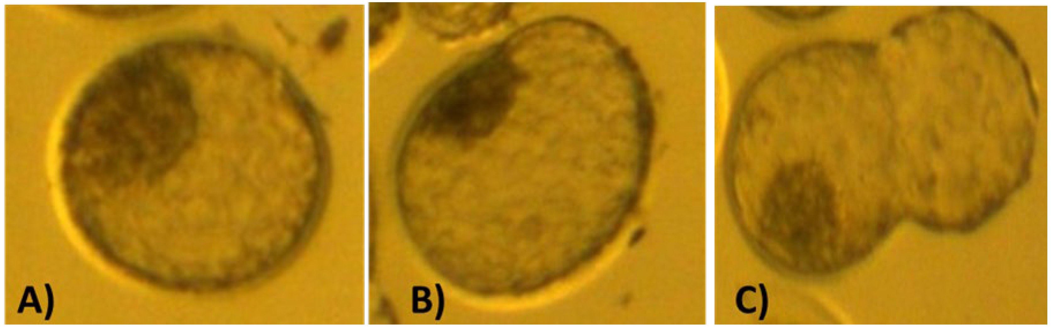 Preprints 171447 g001