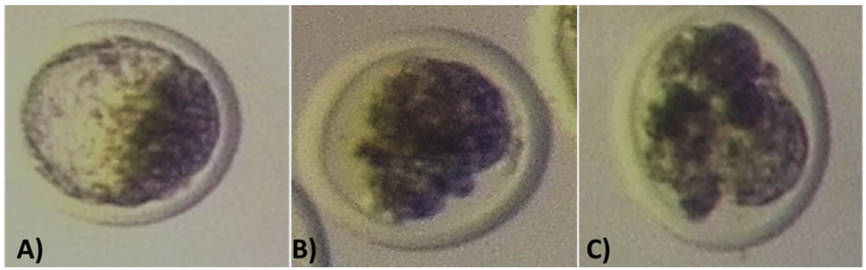 Preprints 171447 g002