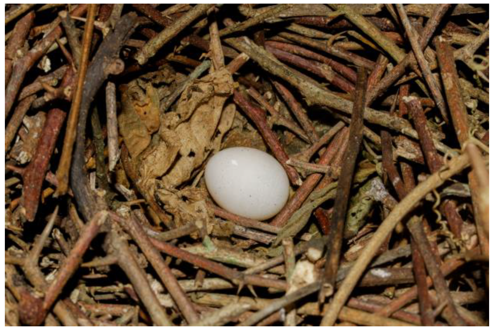 Preprints 186886 g002