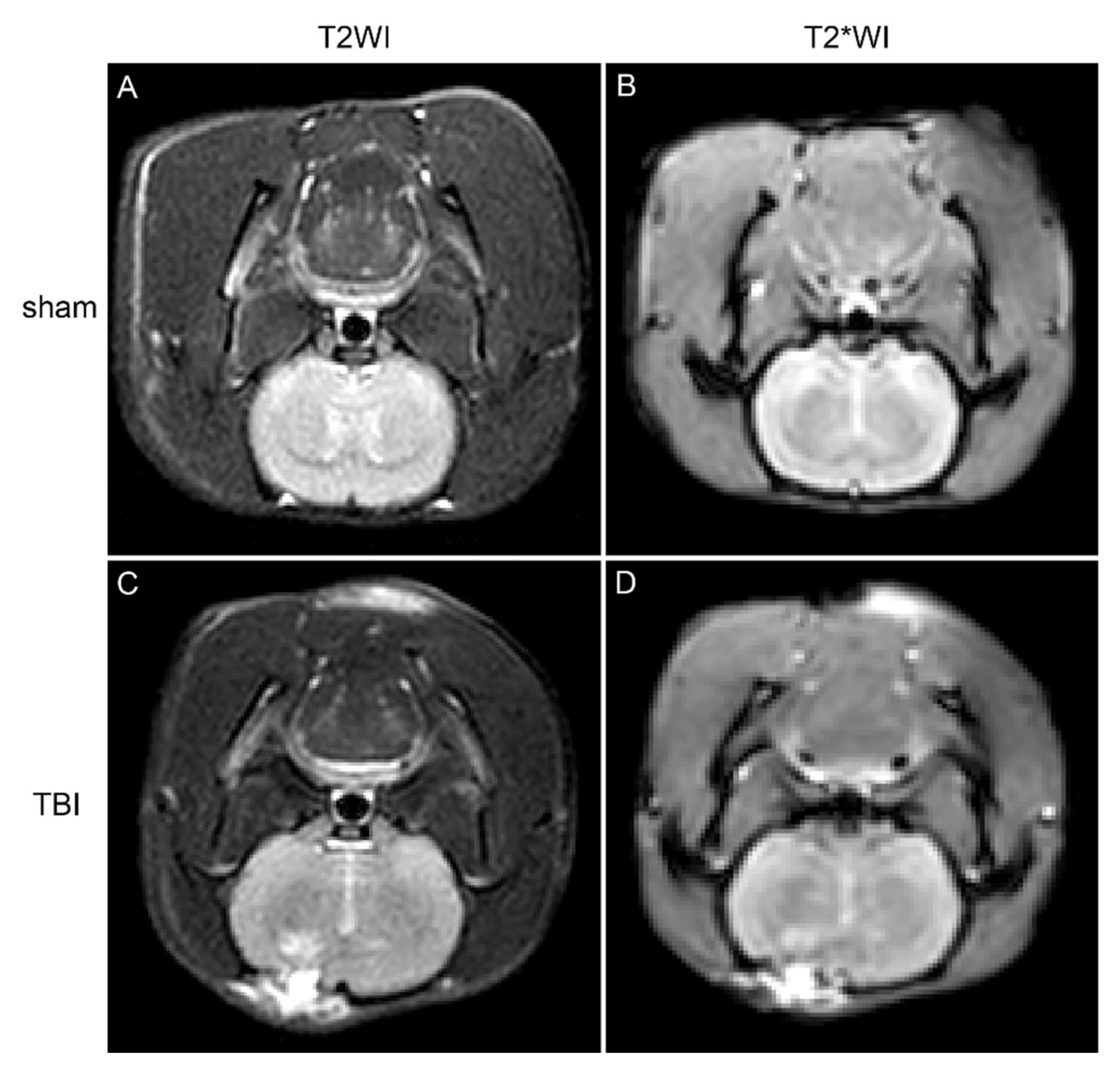 Preprints 144010 g001