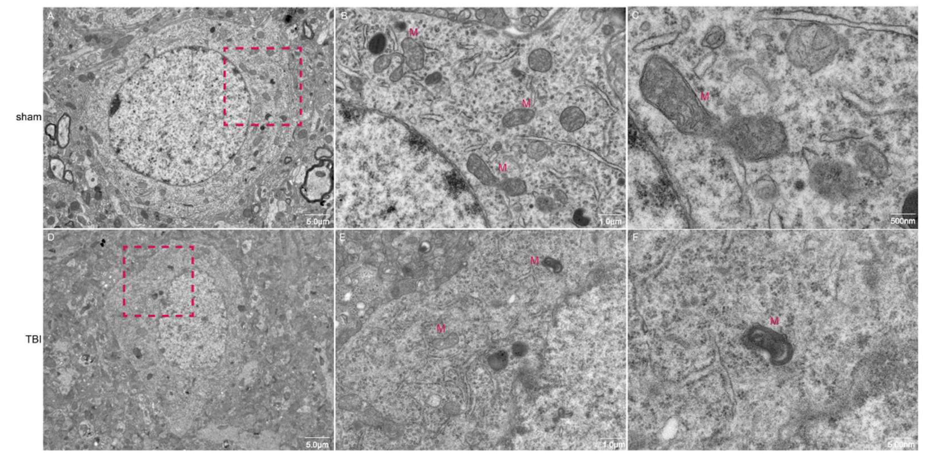 Preprints 144010 g002