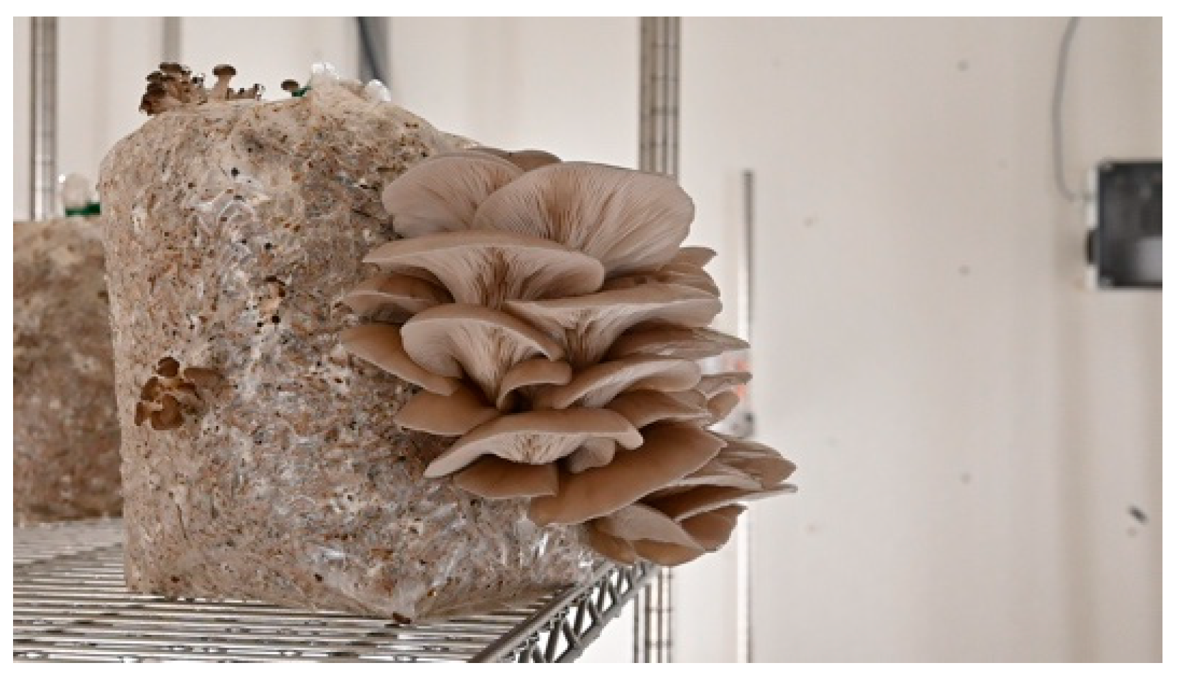 Preprints 157813 g002