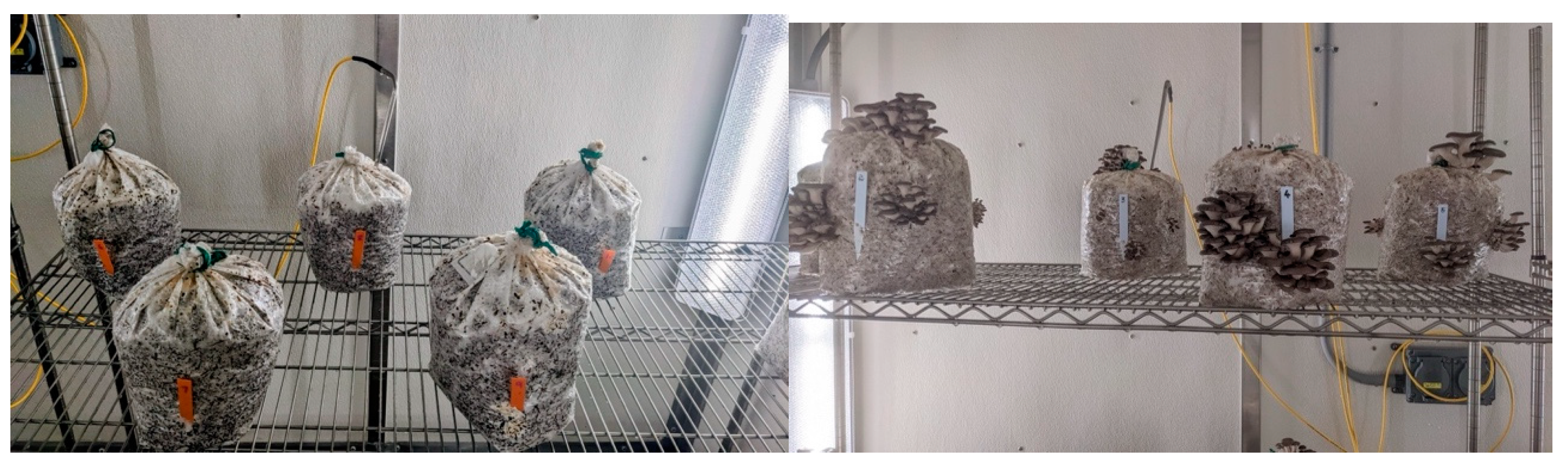 Preprints 157813 g005