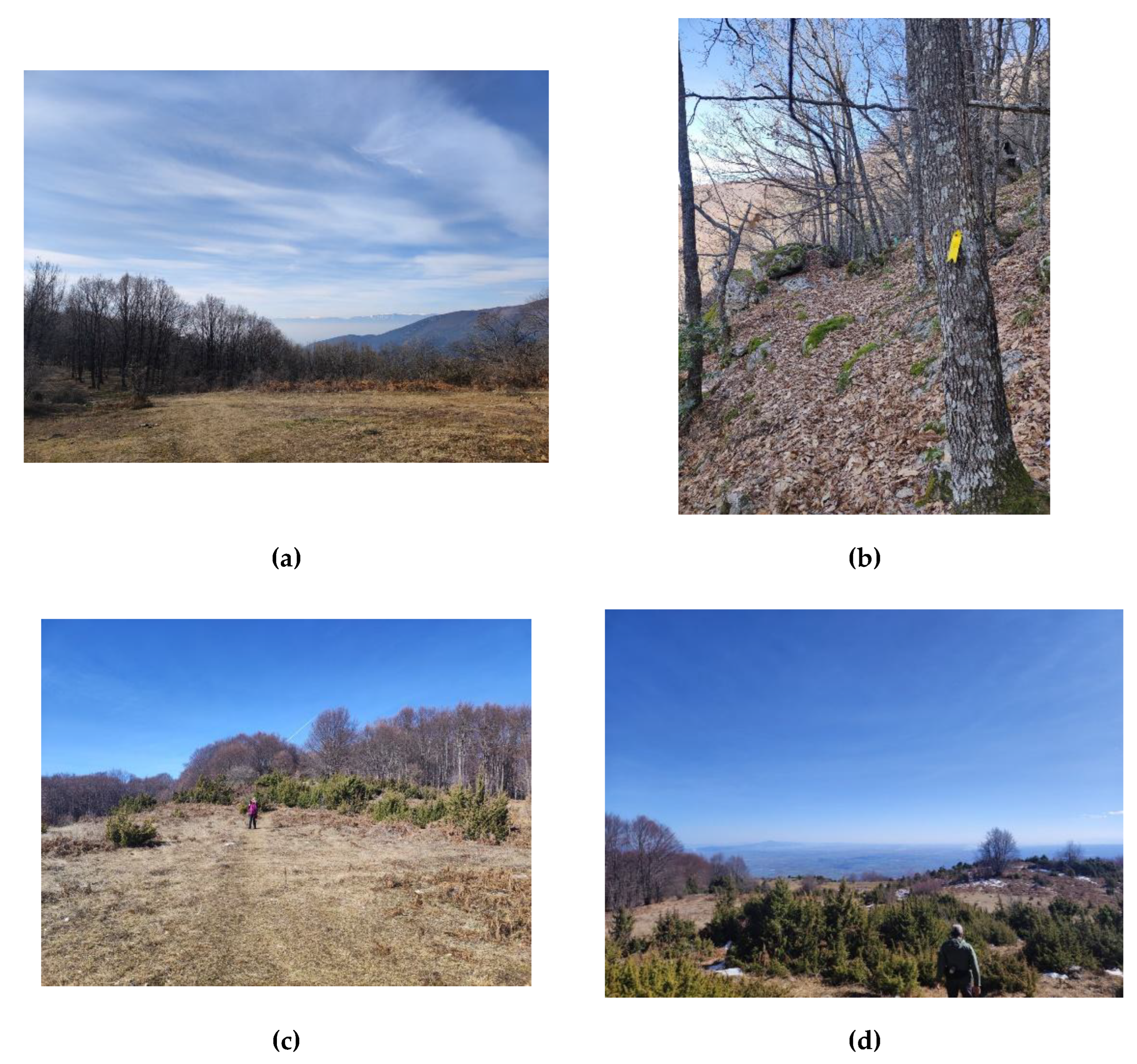 Preprints 186241 g0a1