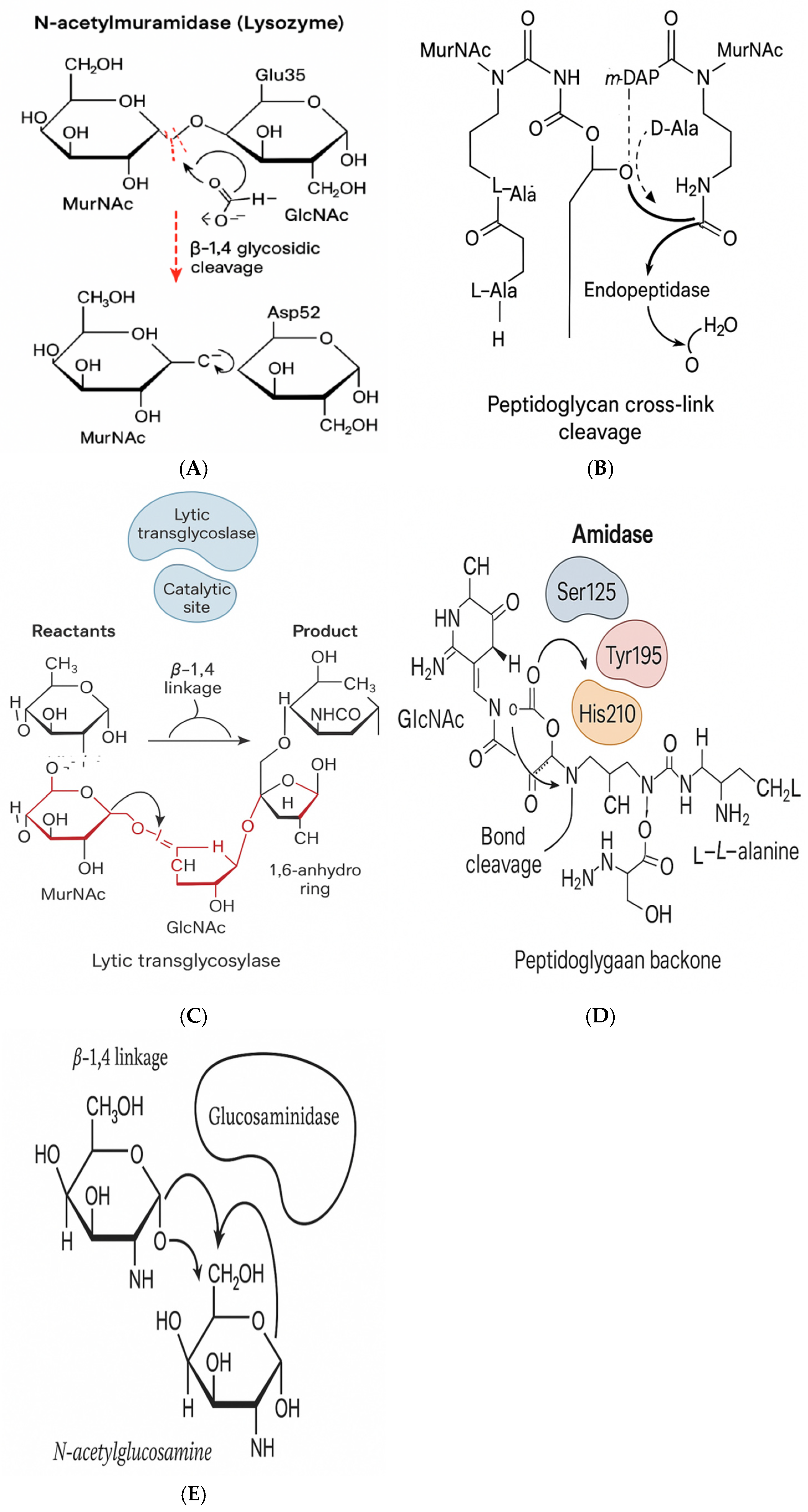 Preprints 169734 g003