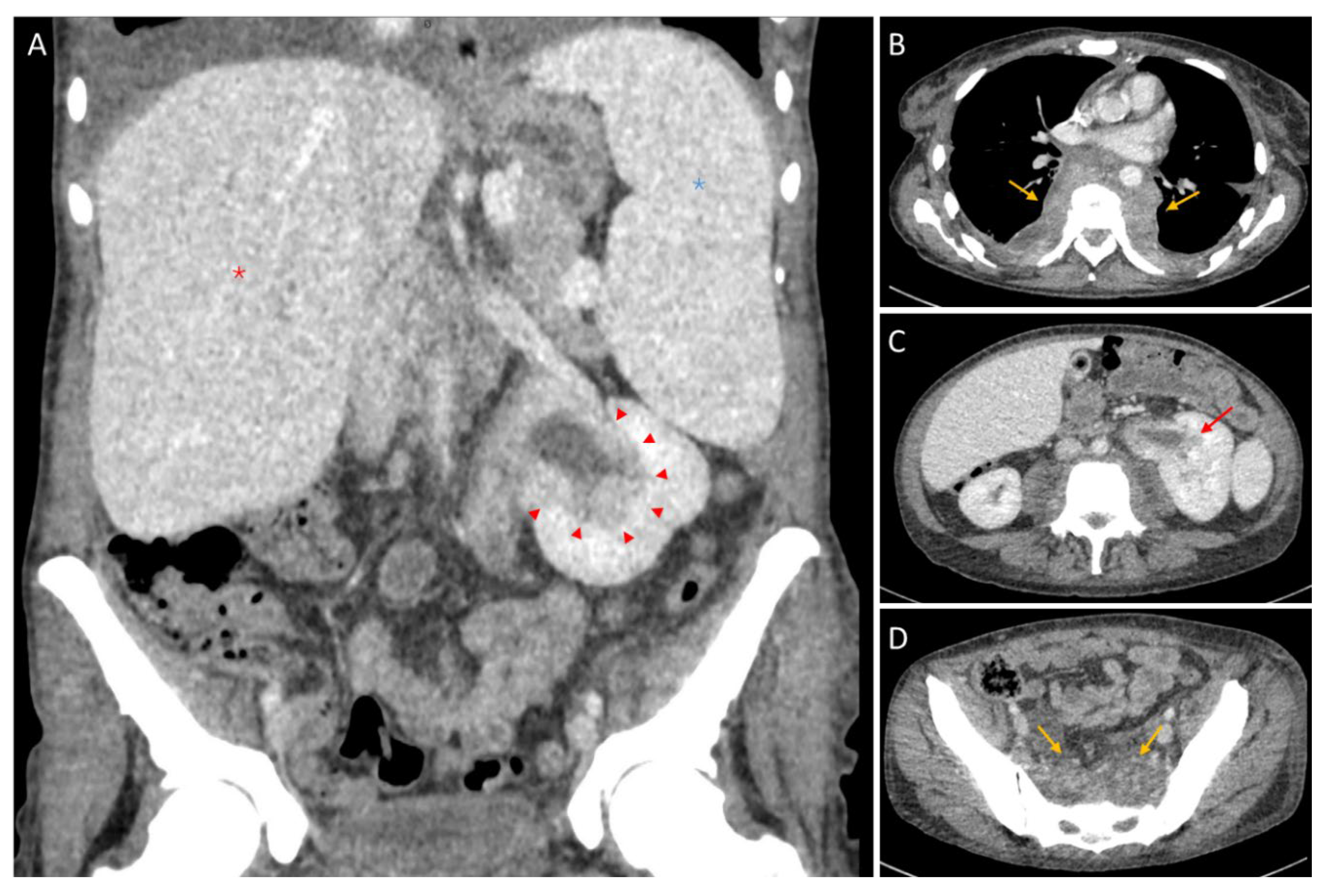 Preprints 200084 g001