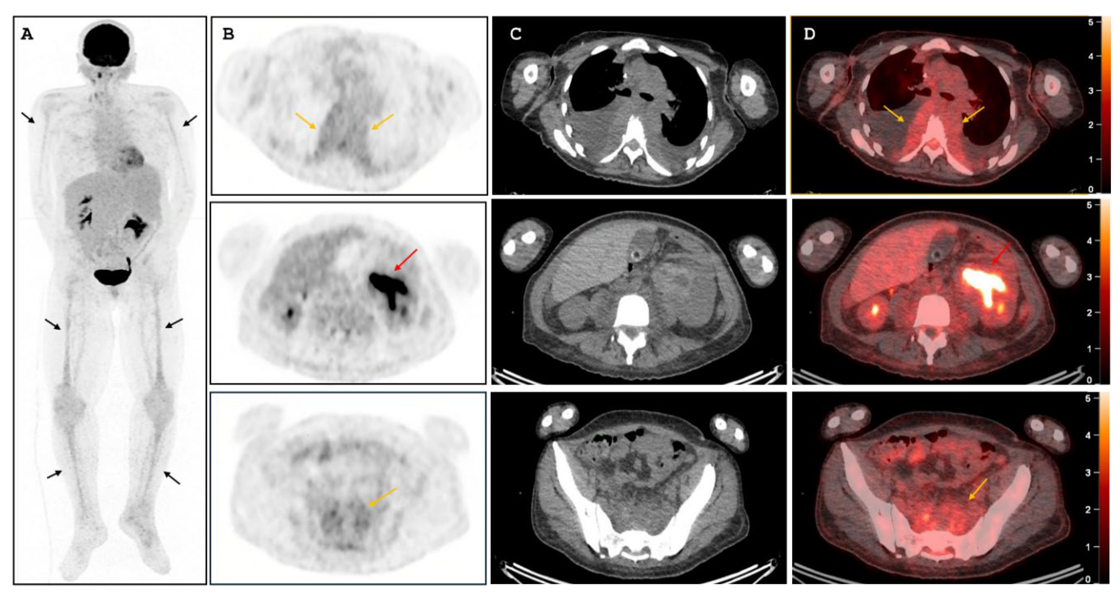 Preprints 200084 g002