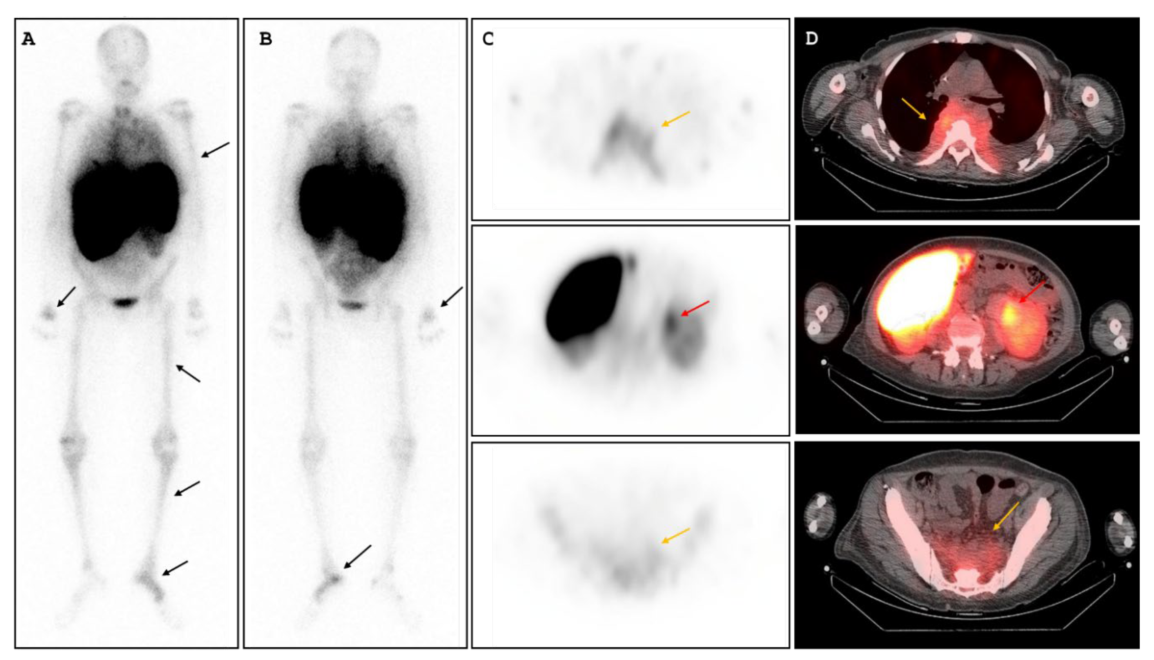 Preprints 200084 g003
