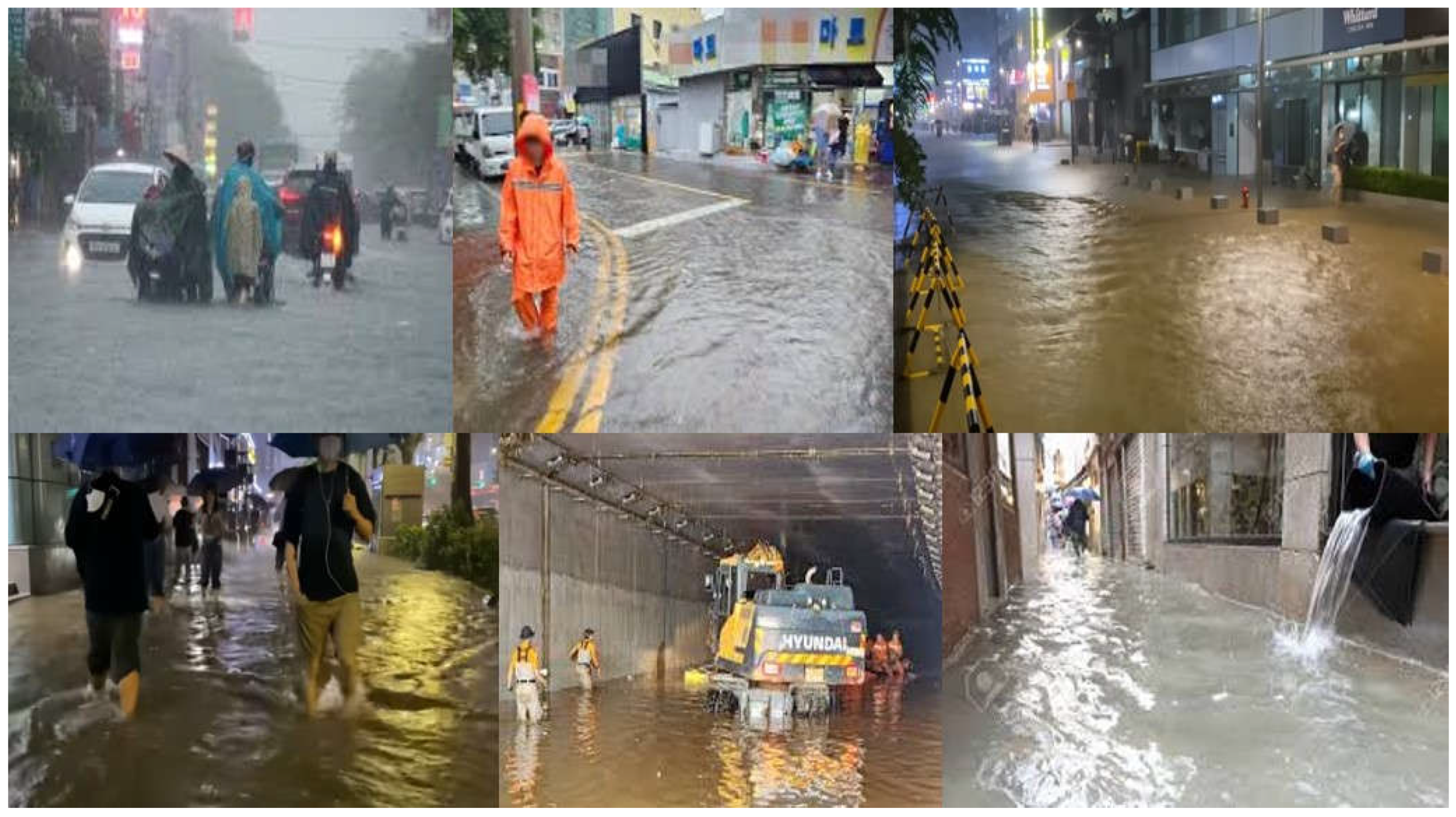 Preprints 154811 g002