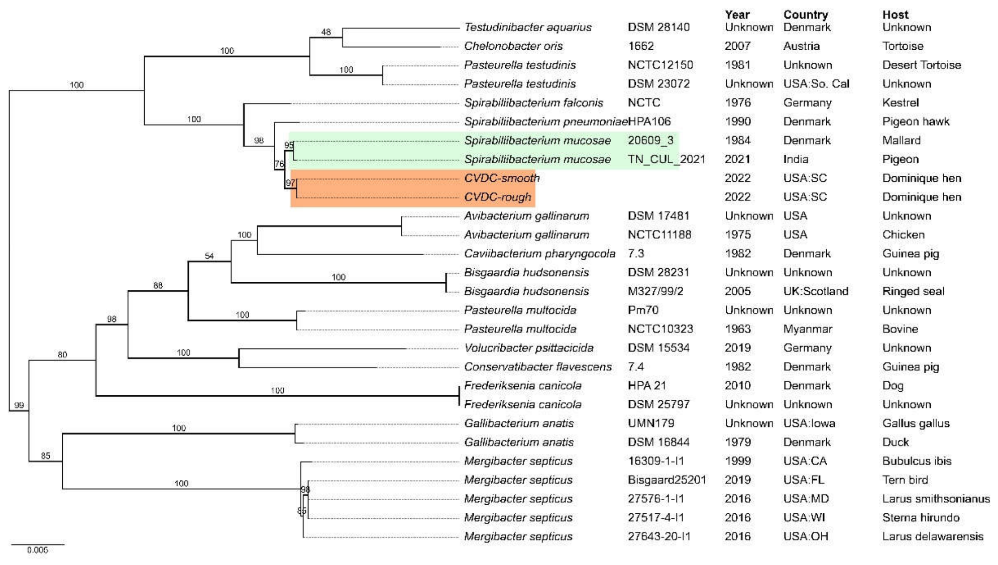 Preprints 226611 g001