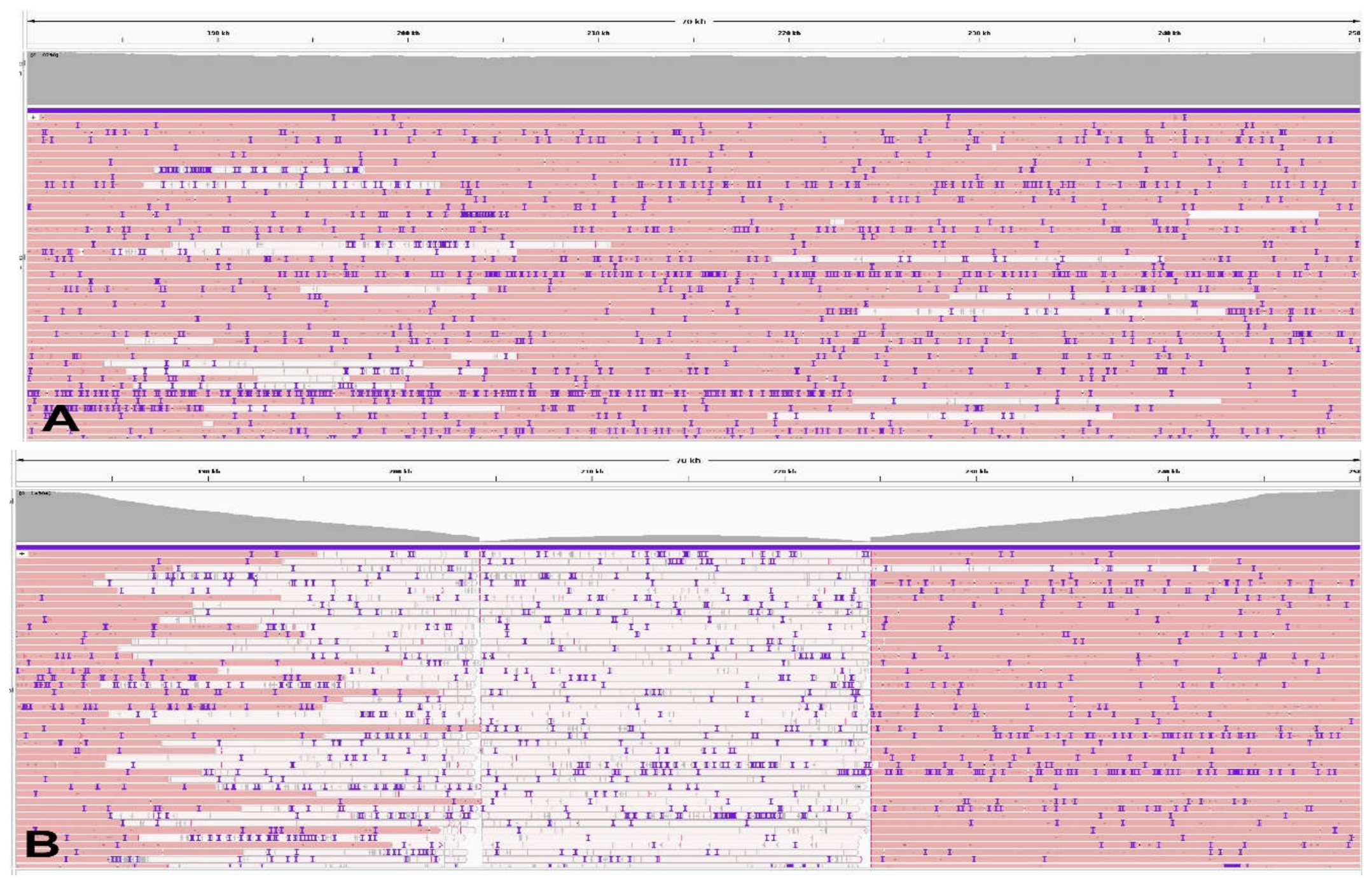 Preprints 226611 g003
