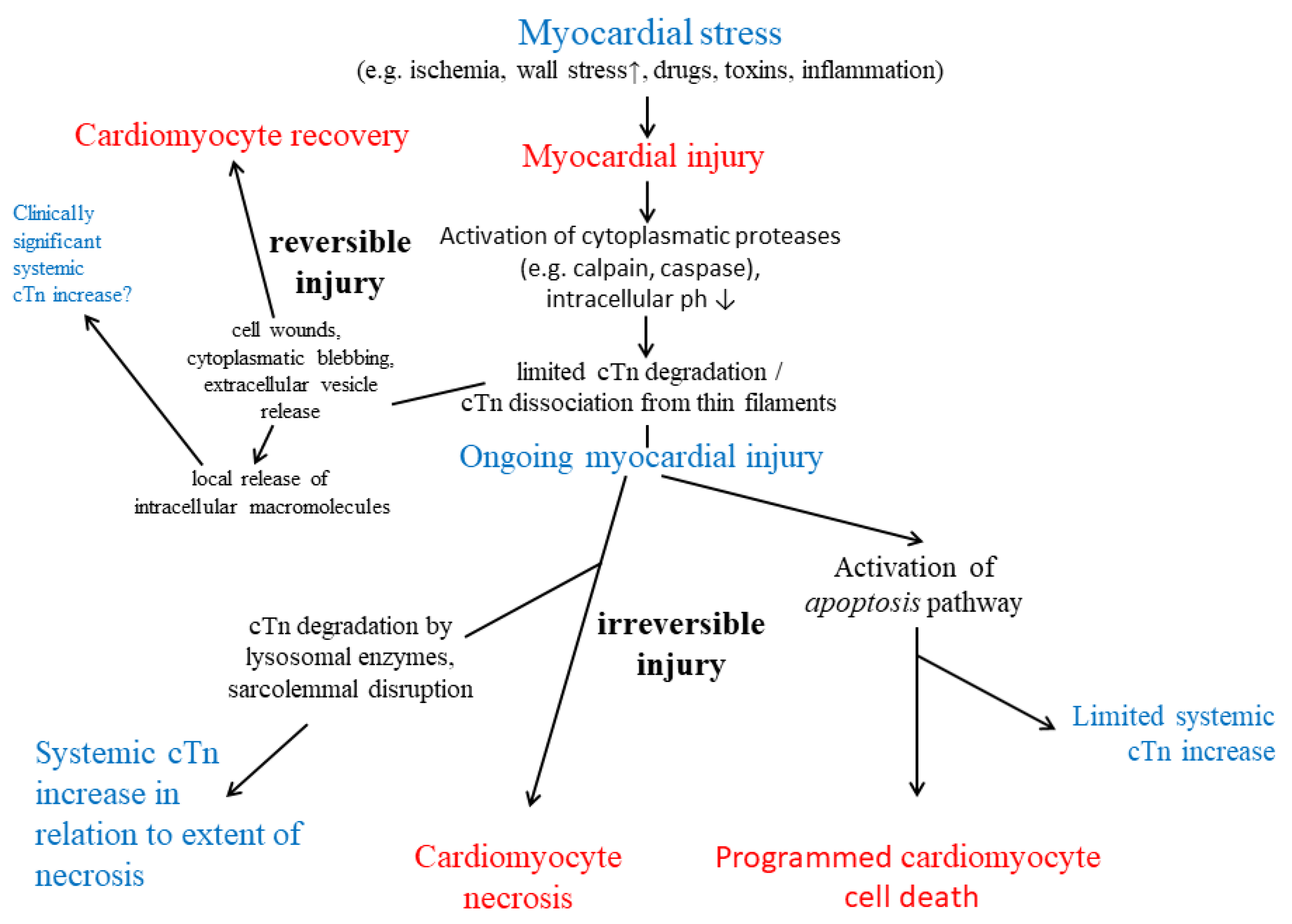 Preprints 157290 g001
