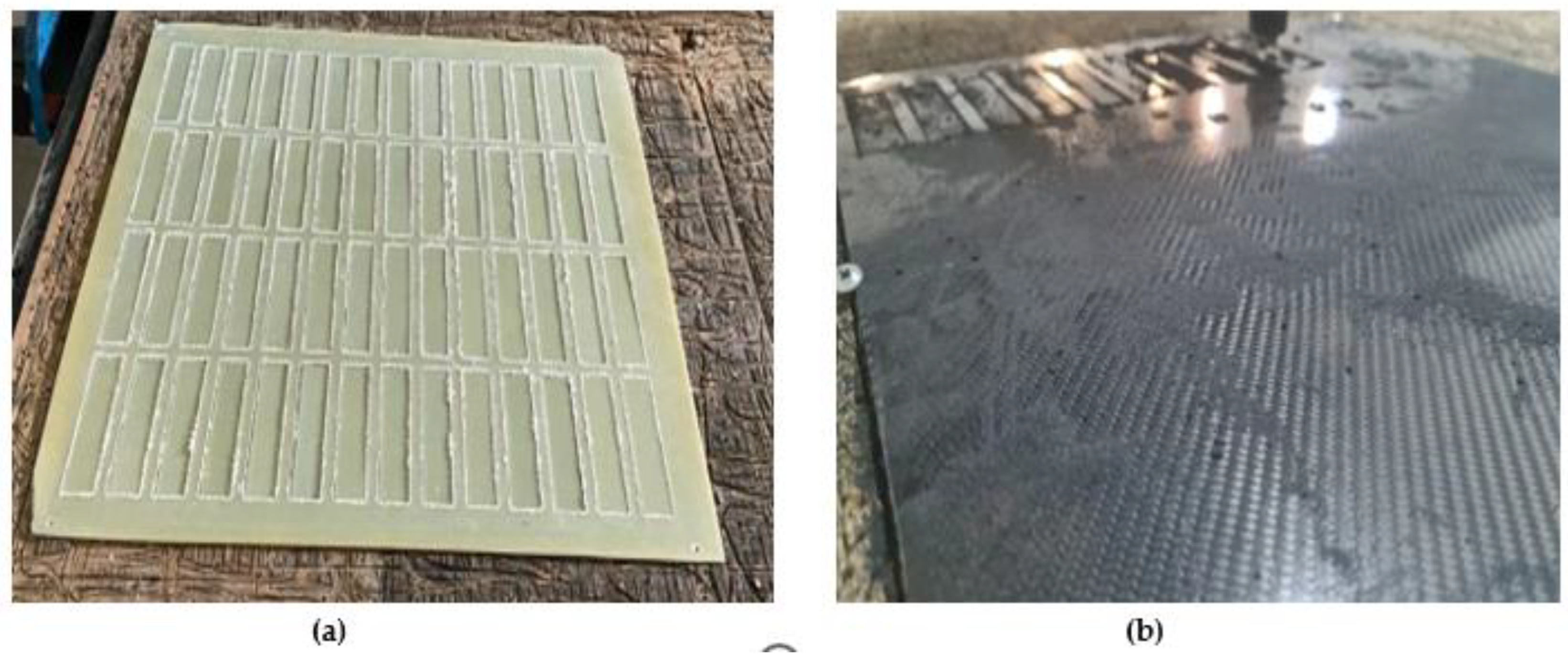 Preprints 169995 g001