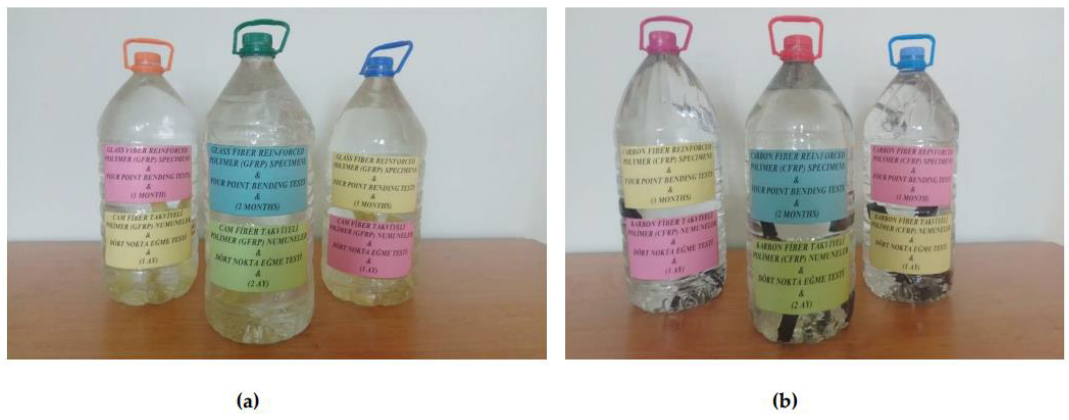 Preprints 169995 g006