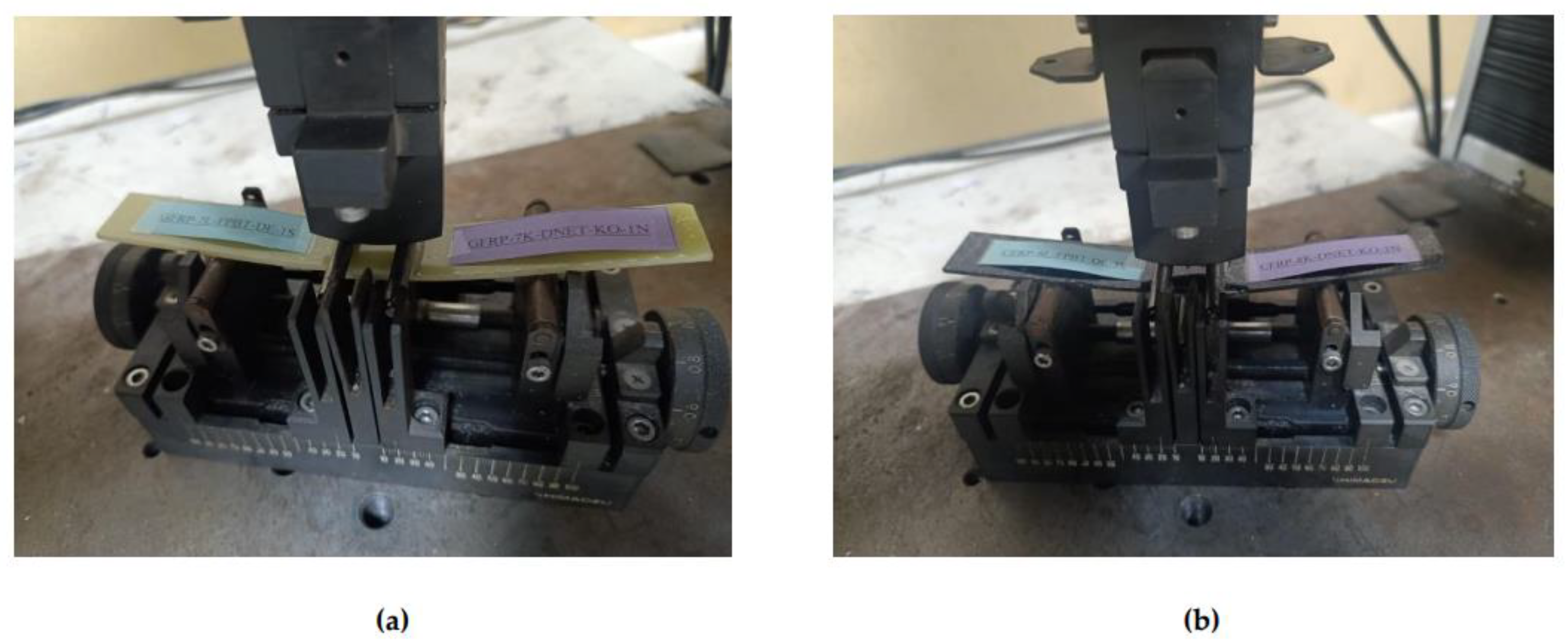 Preprints 169995 g011