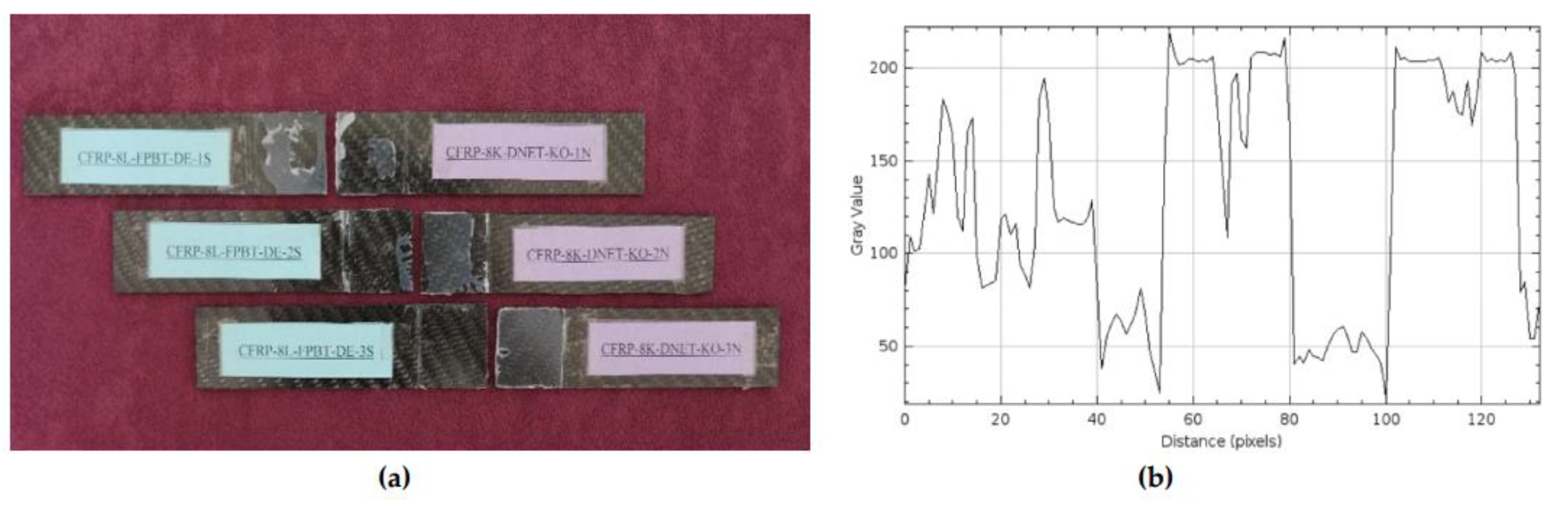 Preprints 169995 g013