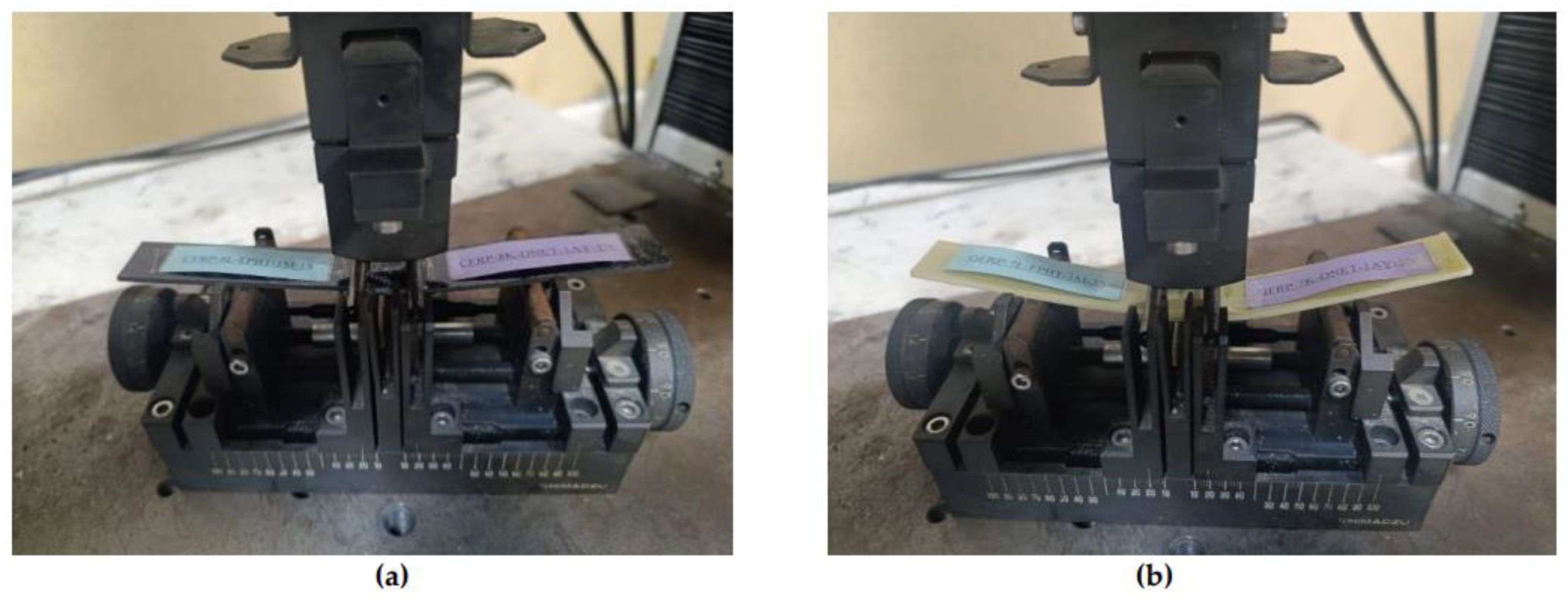 Preprints 169995 g014