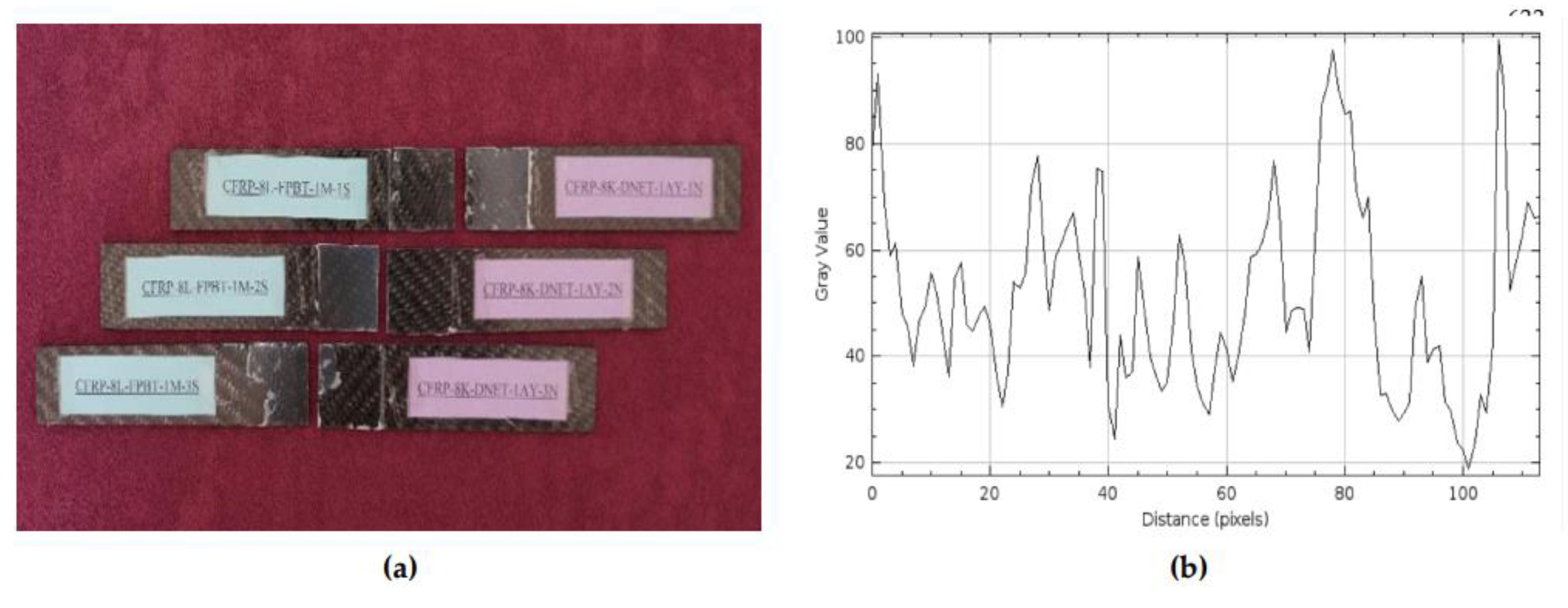 Preprints 169995 g016