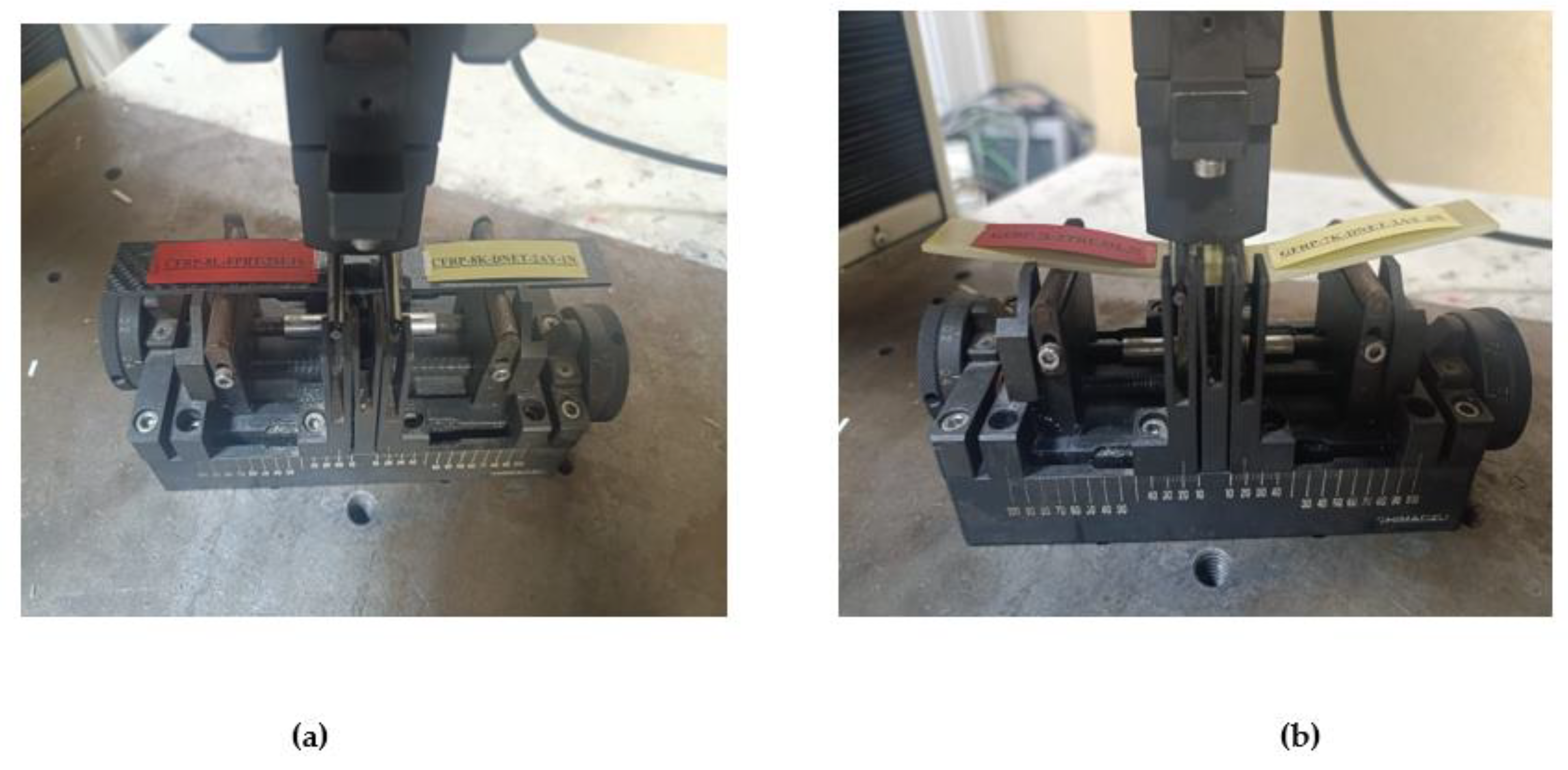 Preprints 169995 g017