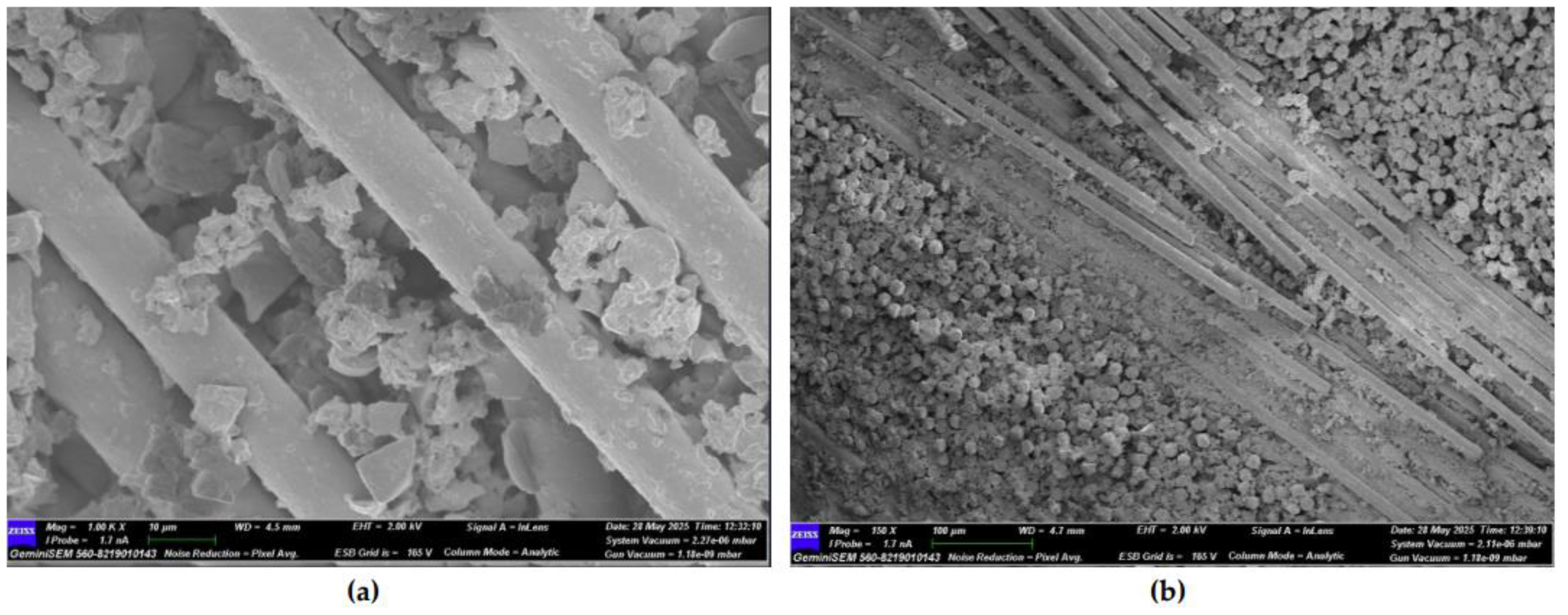 Preprints 169995 g025