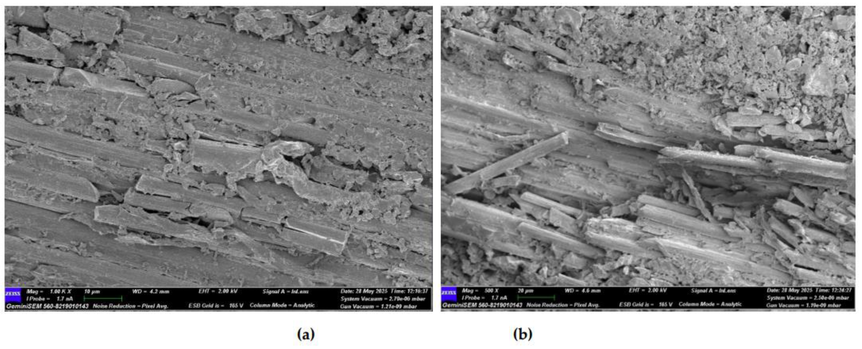 Preprints 169995 g026