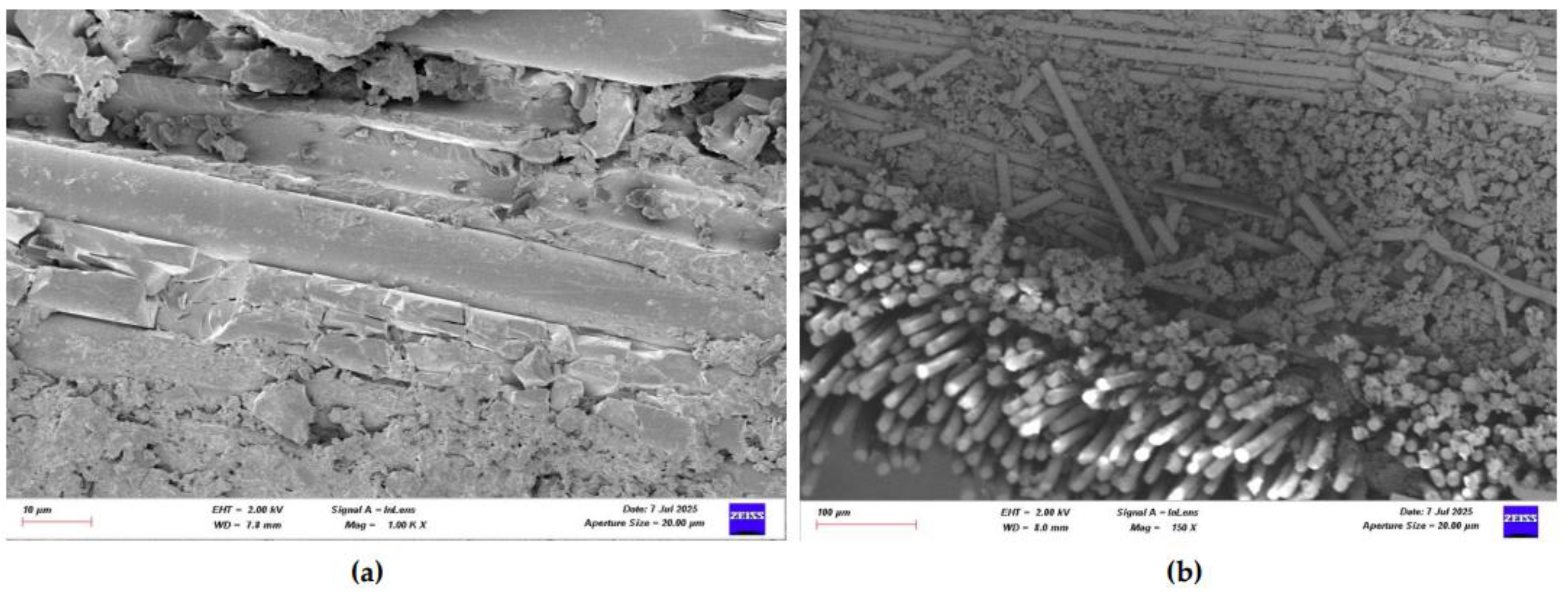 Preprints 169995 g027