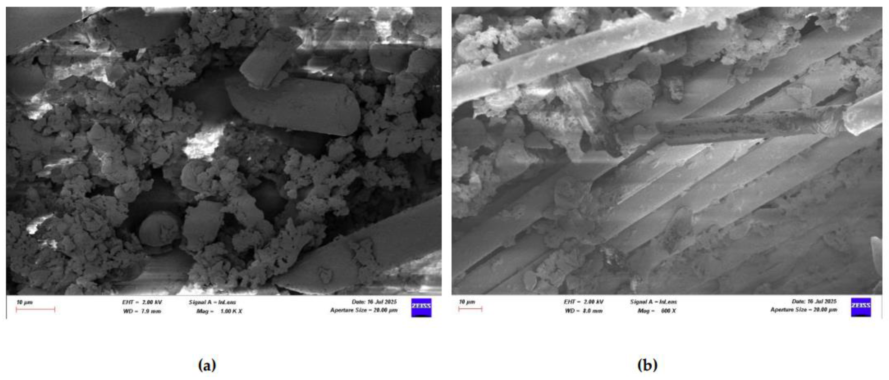 Preprints 169995 g028