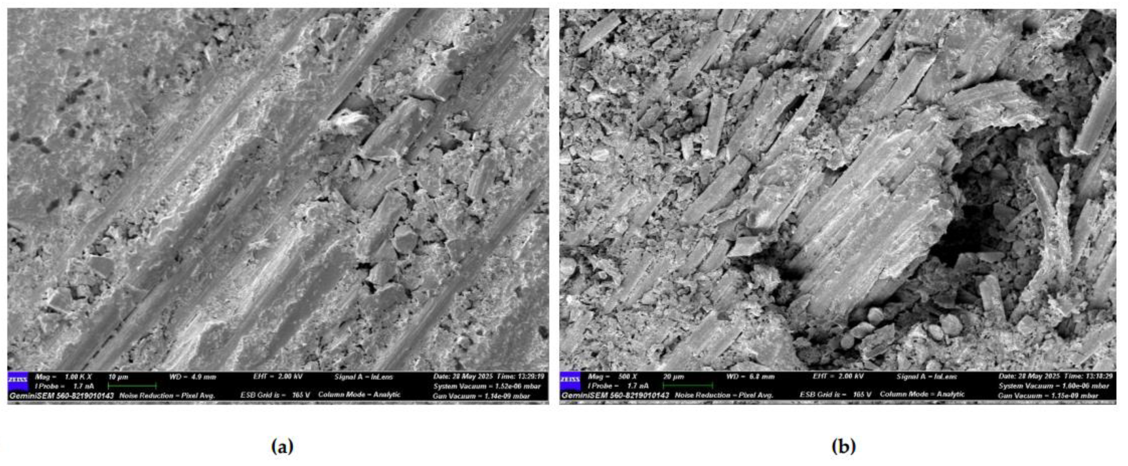 Preprints 169995 g029