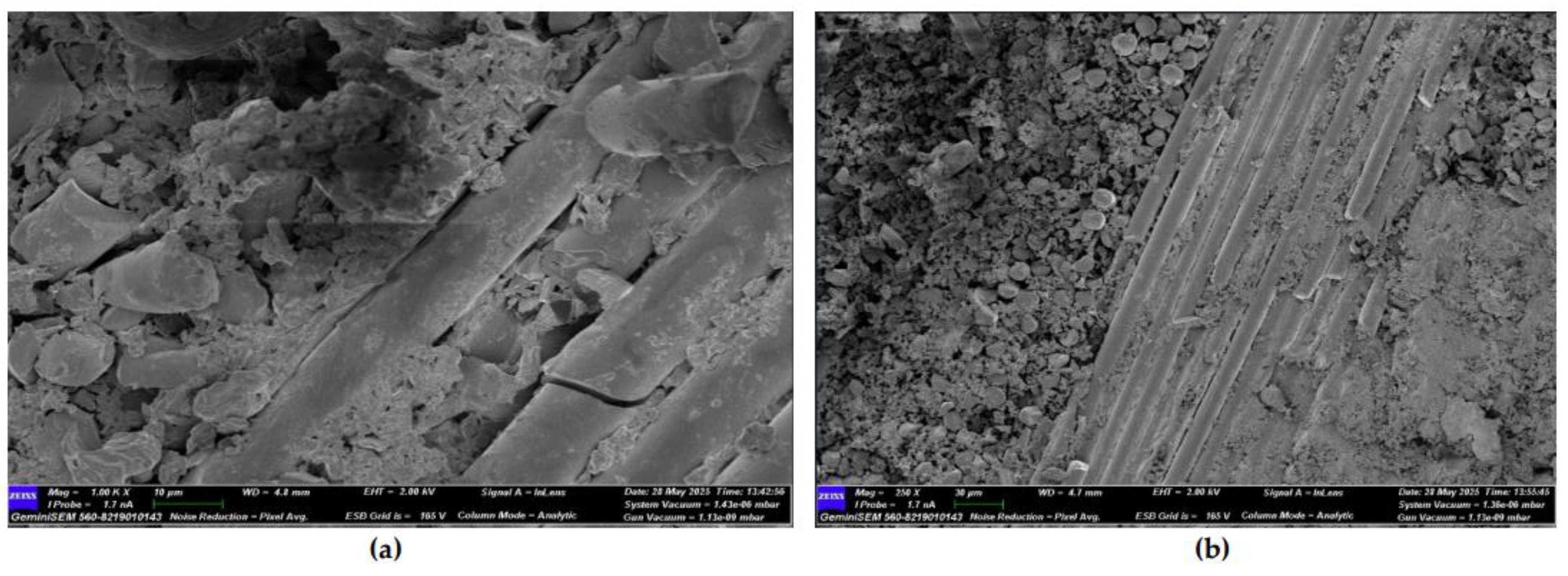 Preprints 169995 g030