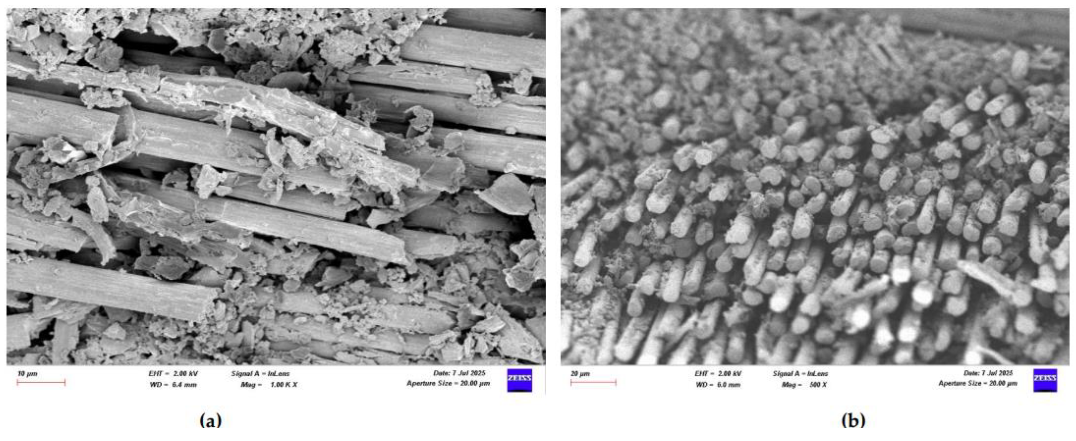 Preprints 169995 g031