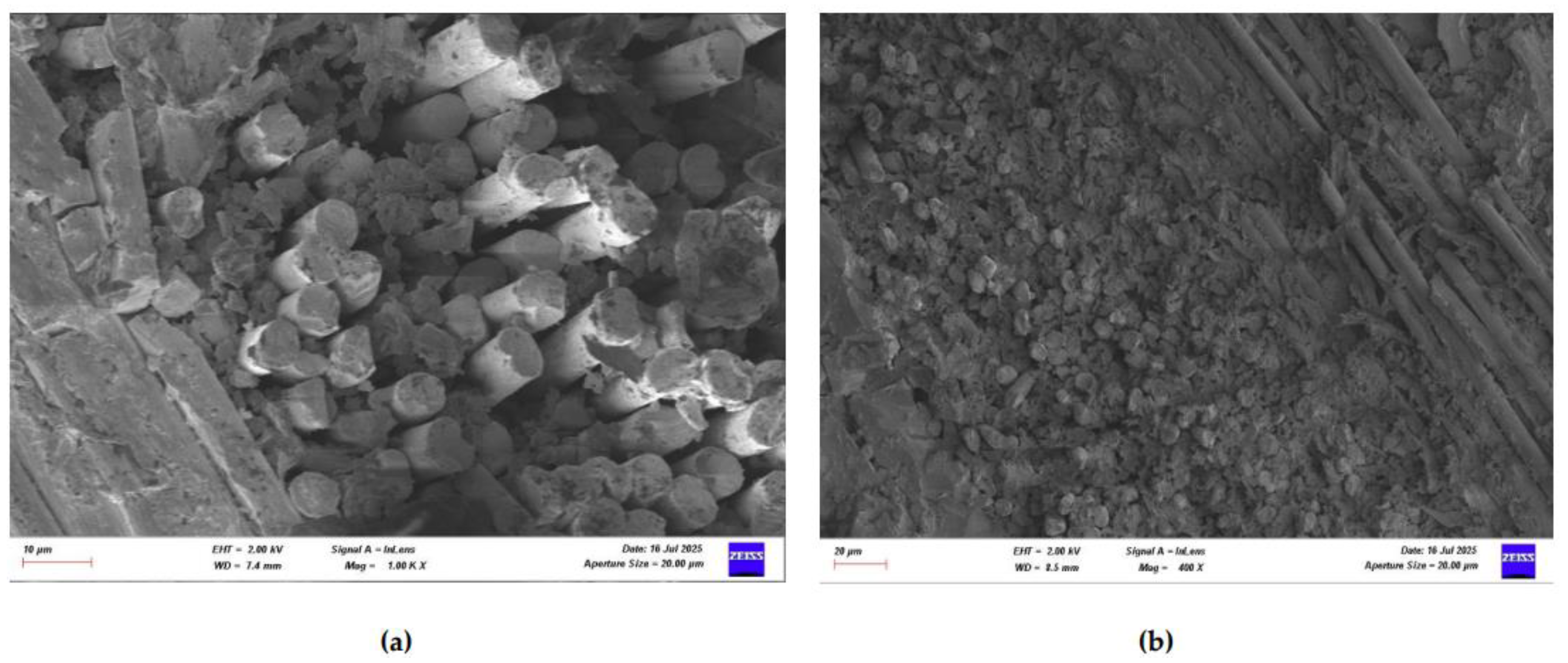 Preprints 169995 g032